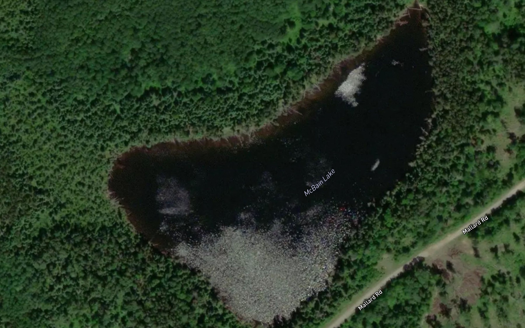 Satellite map of the McBain Lake