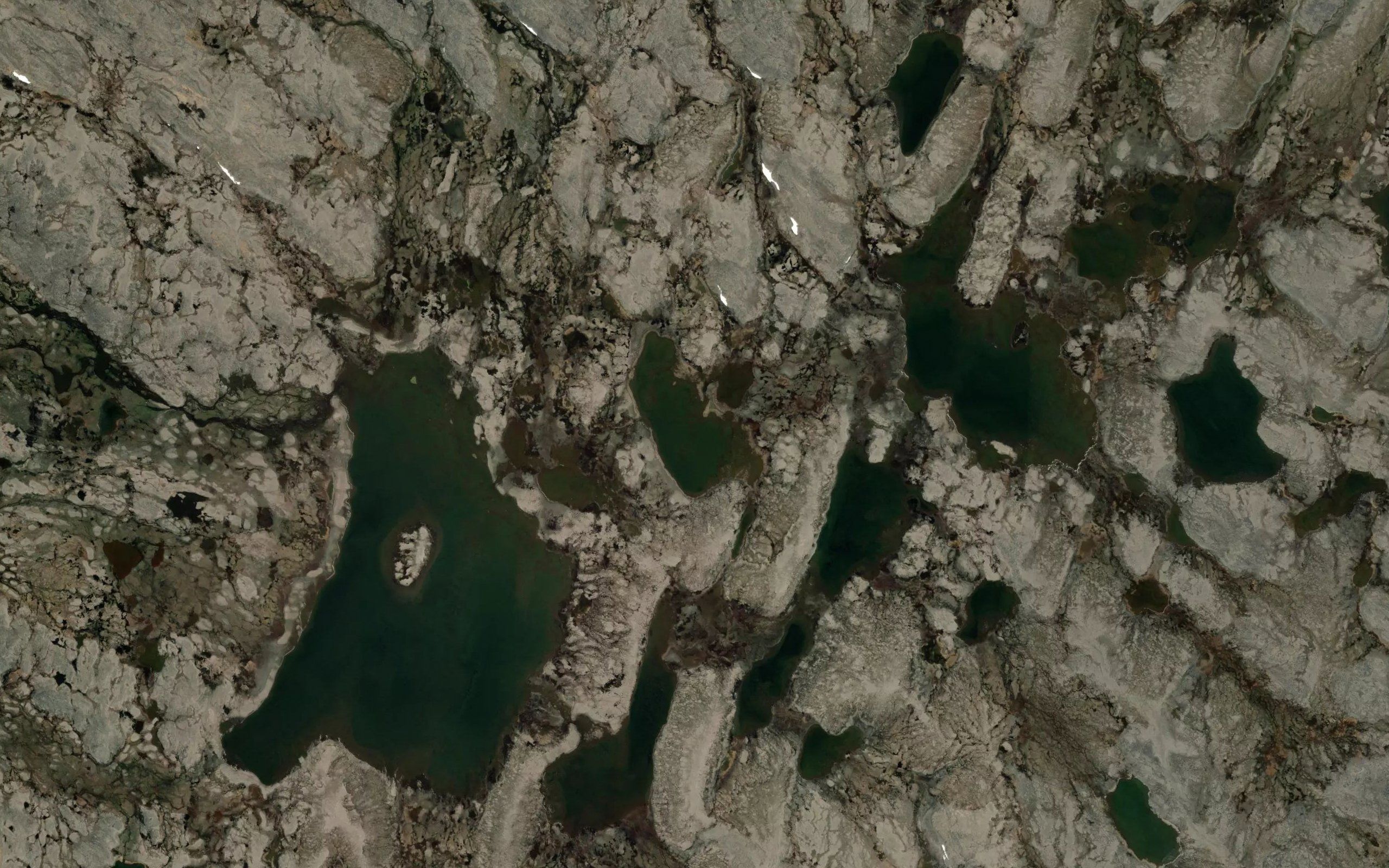 Lac Taqulikkut Saniani Tasialuk