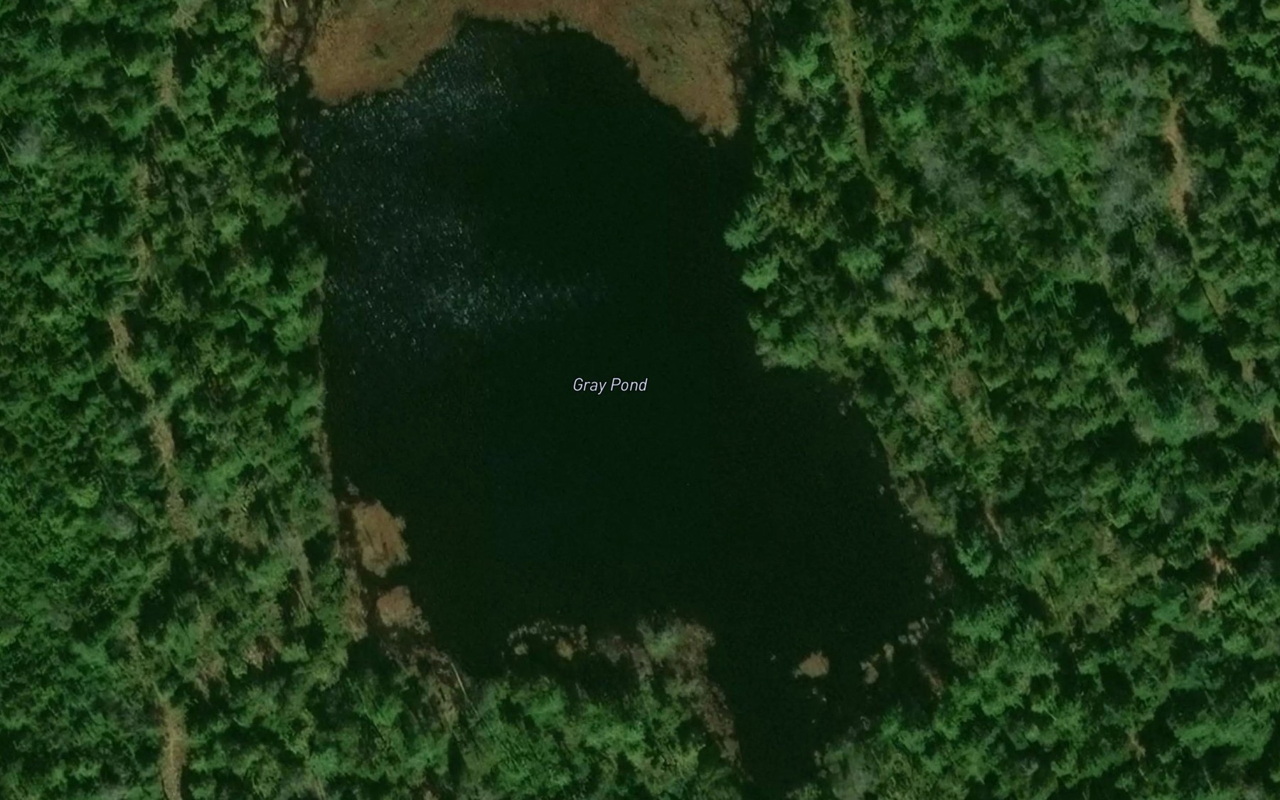Satellite map of the Gray Pond
