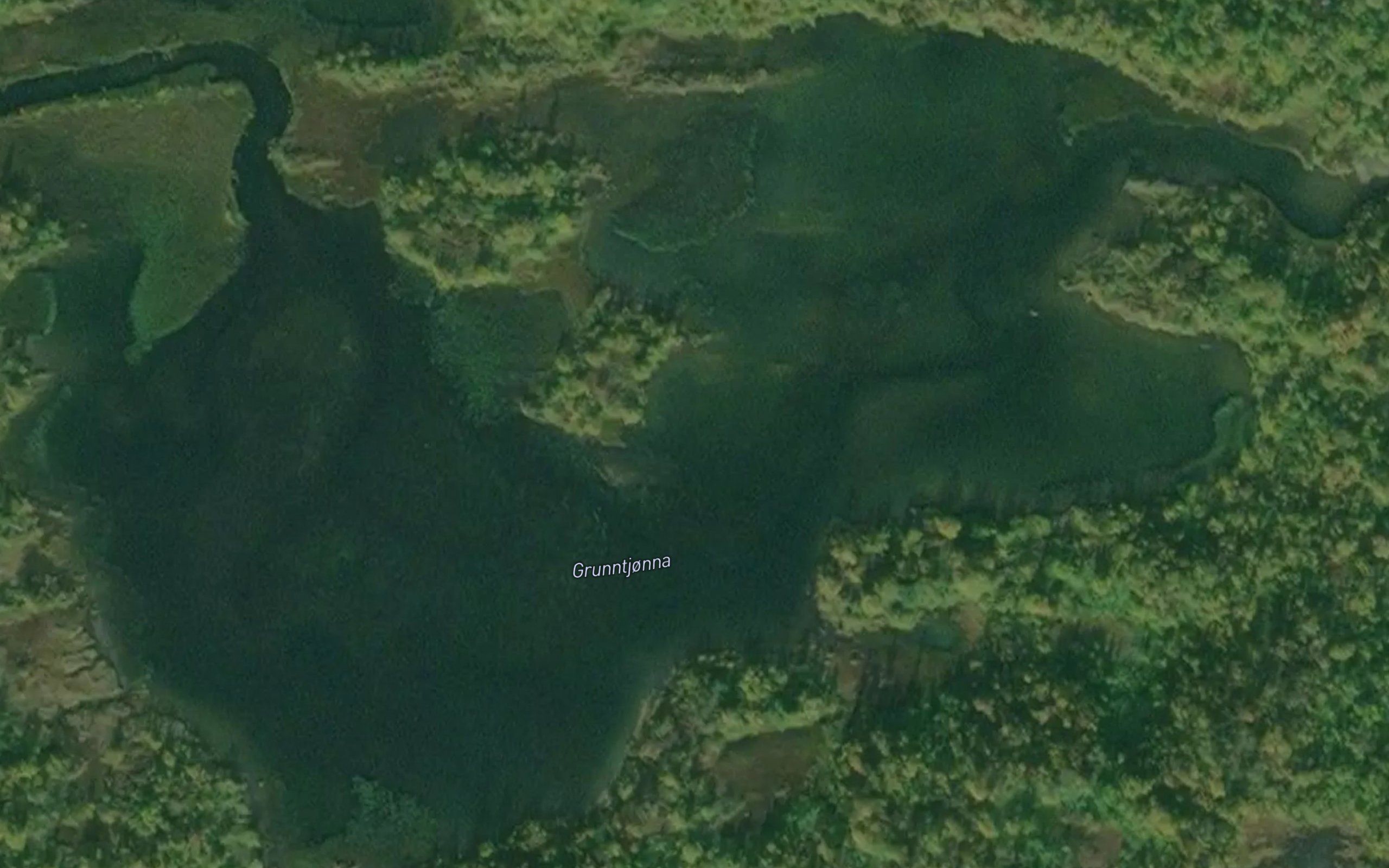 Grunntjonna