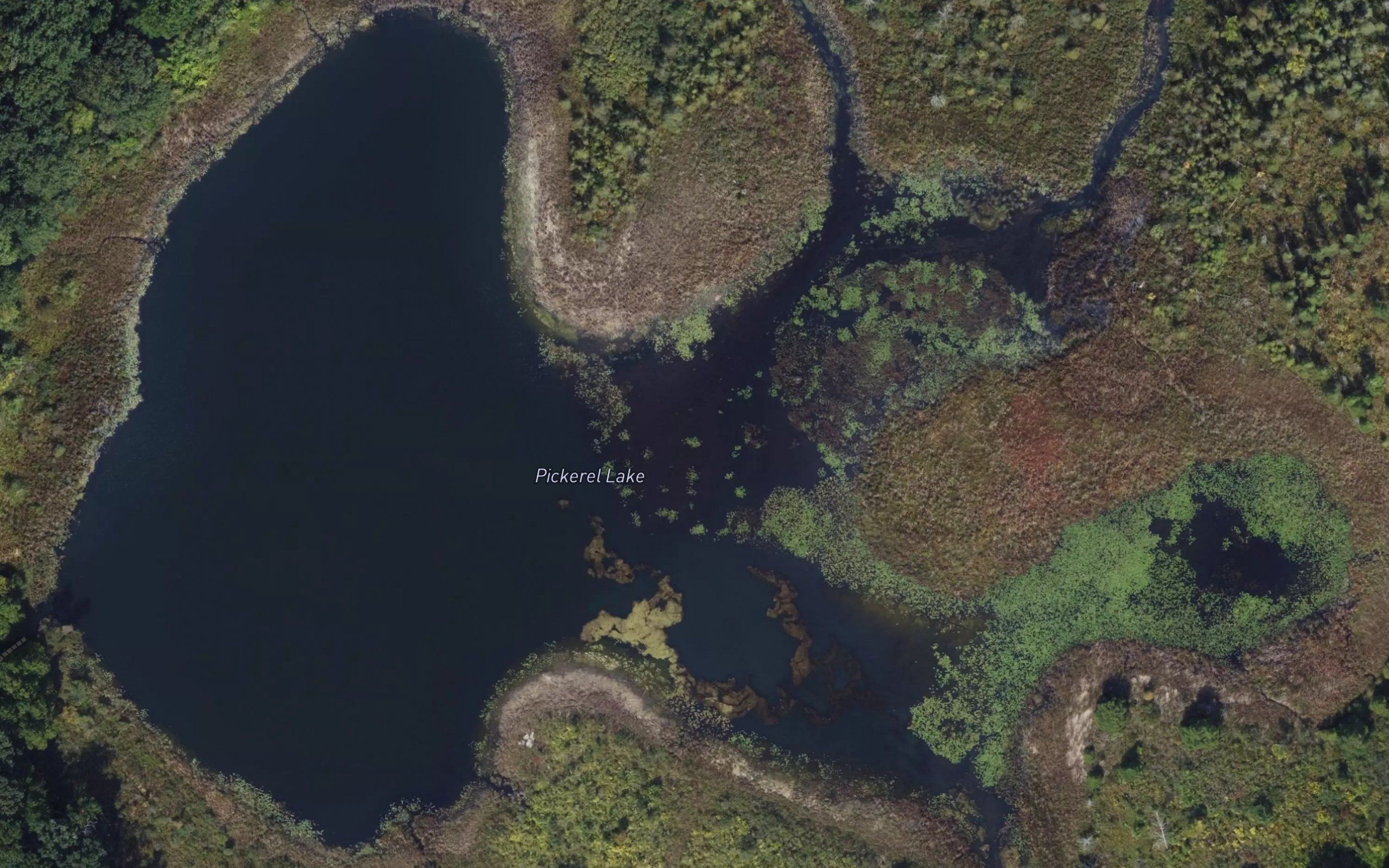 Pickerel Lake