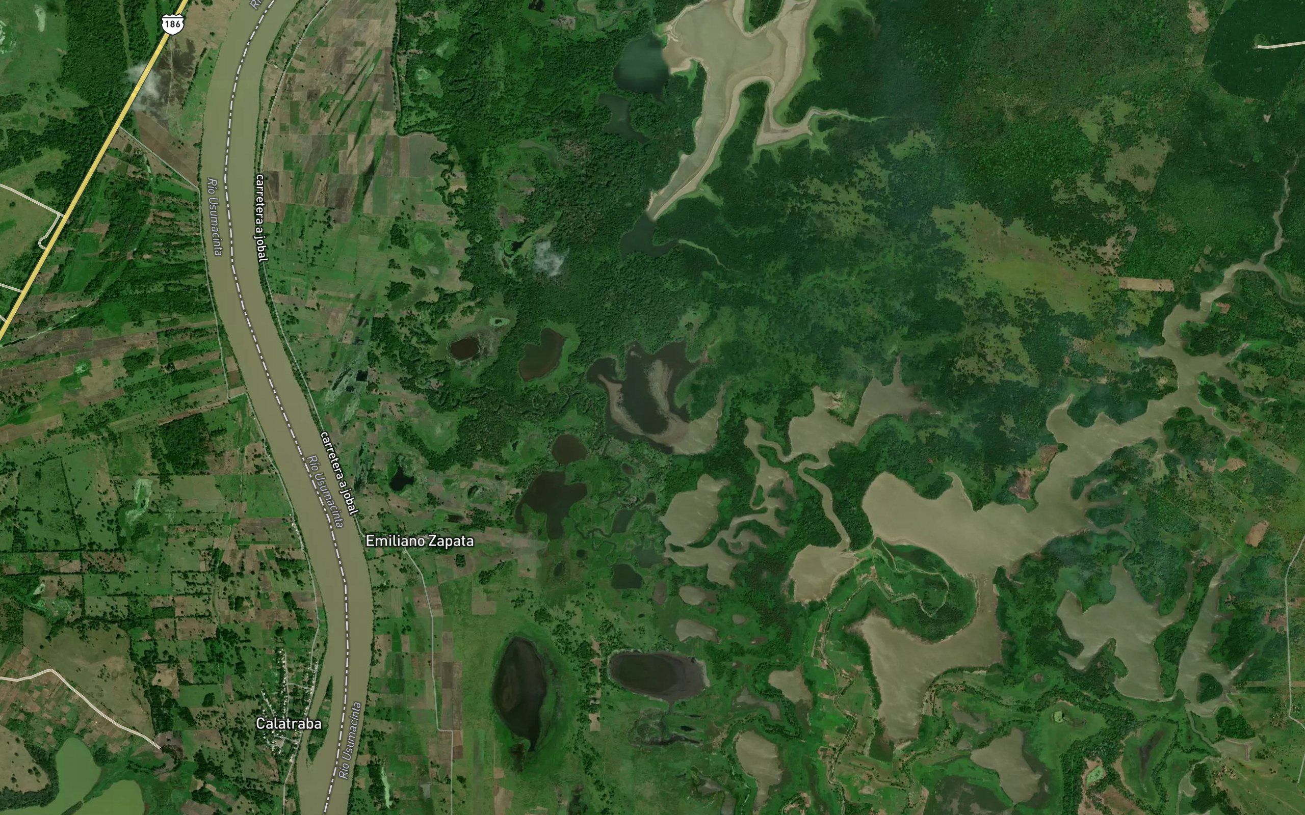 Laguna San Ignacio