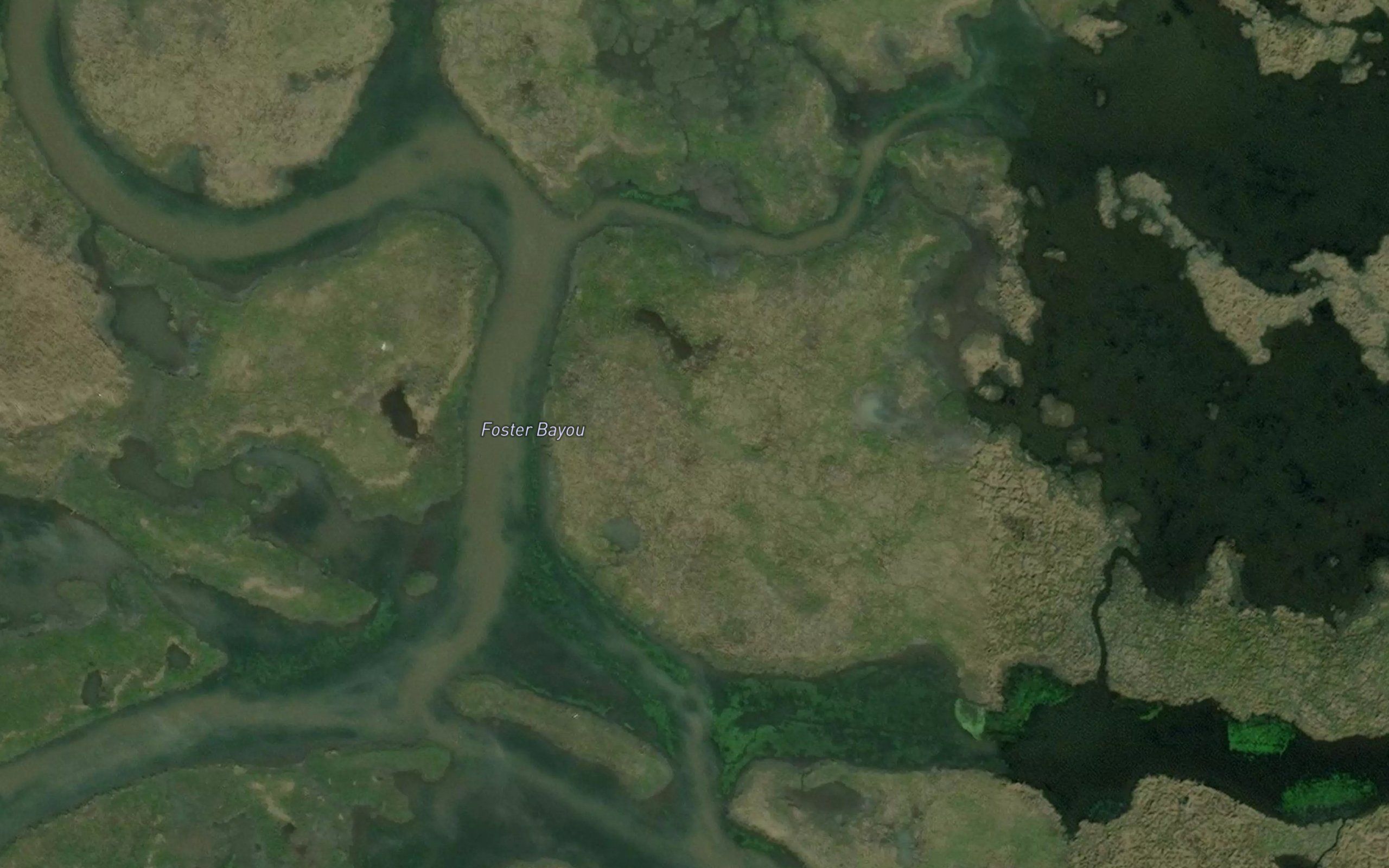Foster Bayou