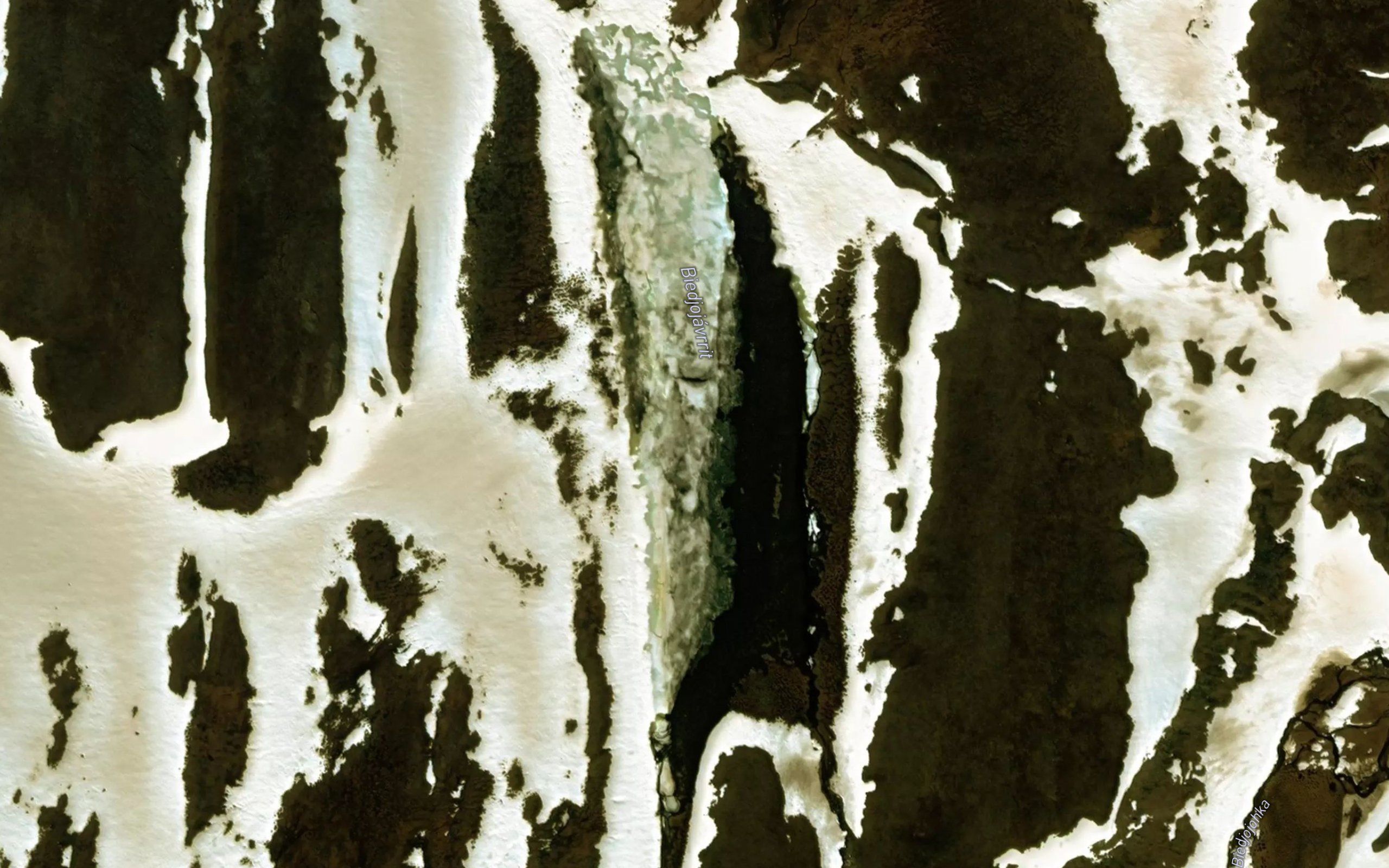 Bieddjujavrit