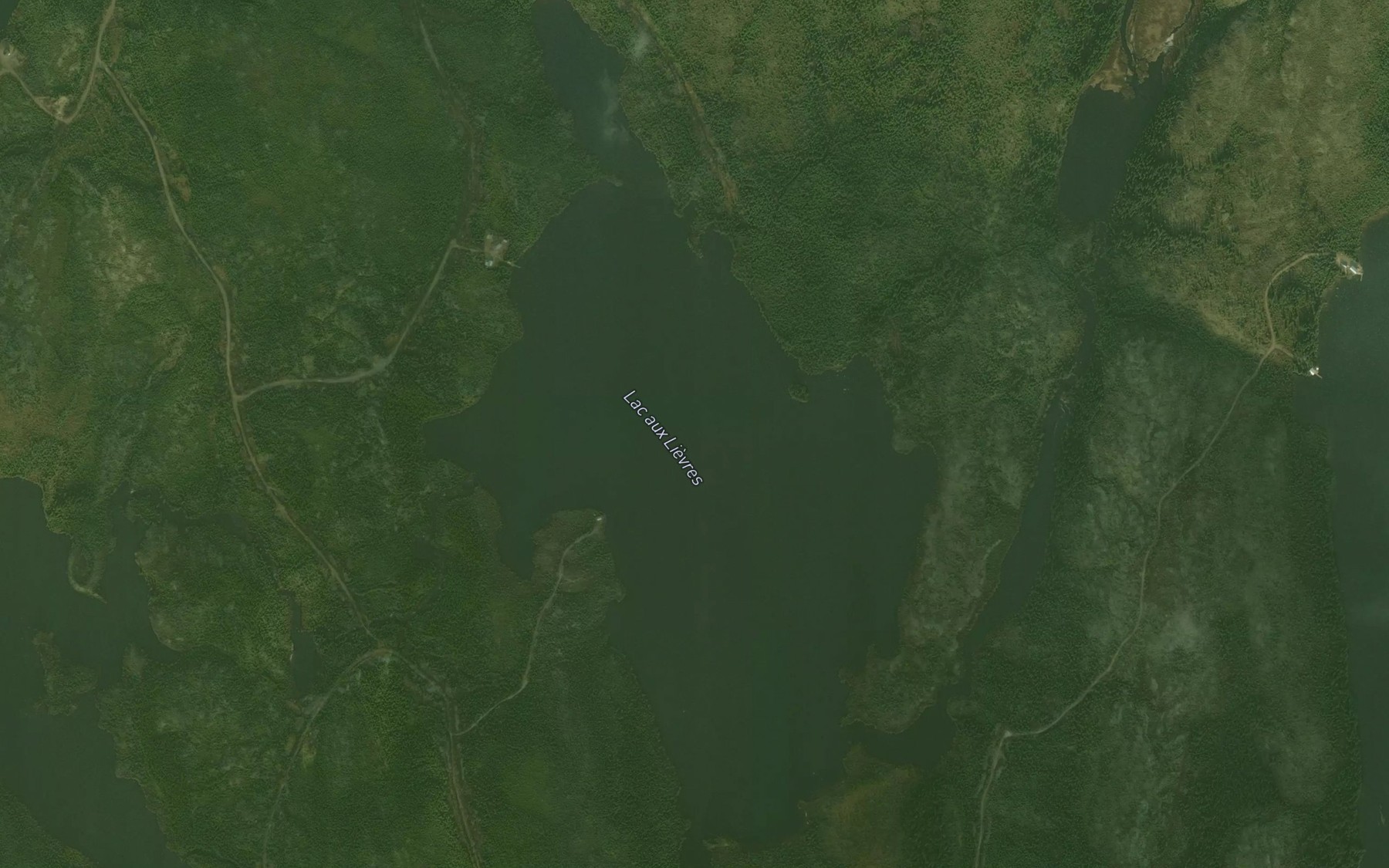 Satellite map of the Lac aux Lievres