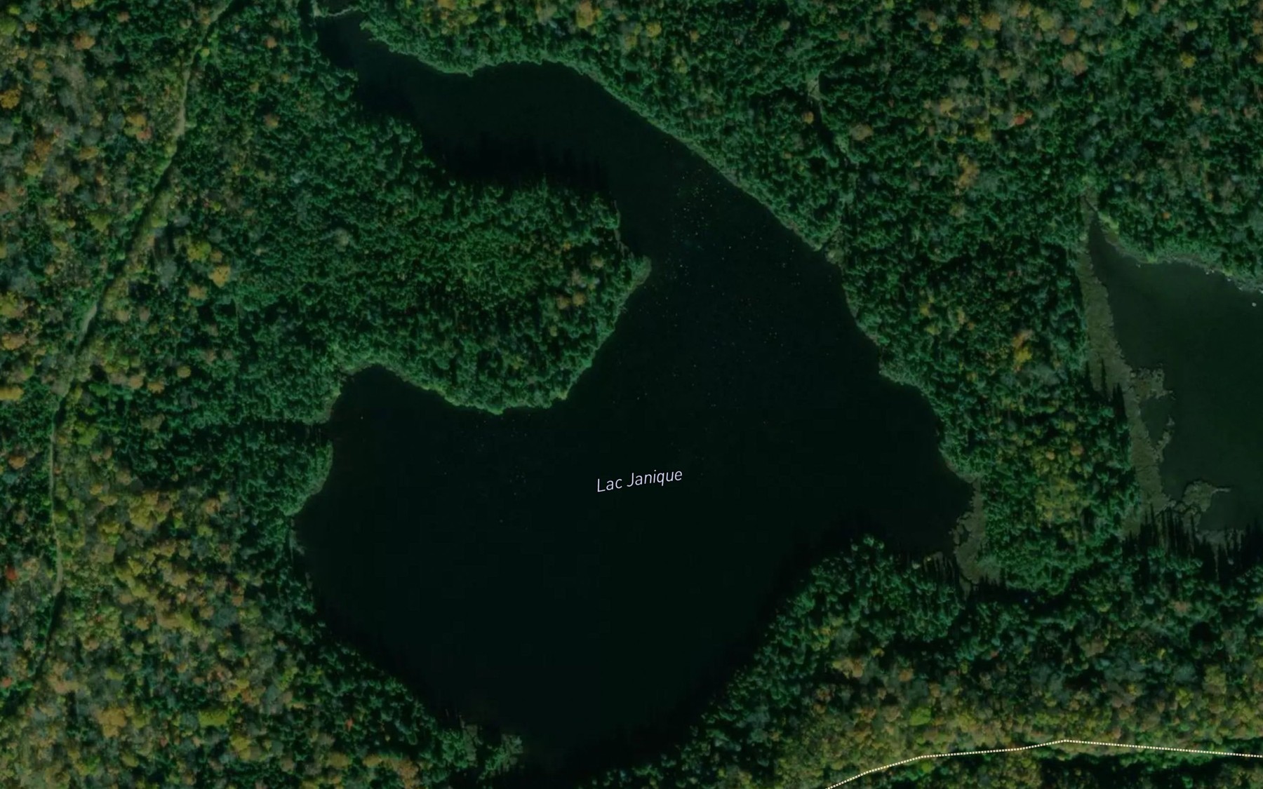 Satellite map of the Lac Janique
