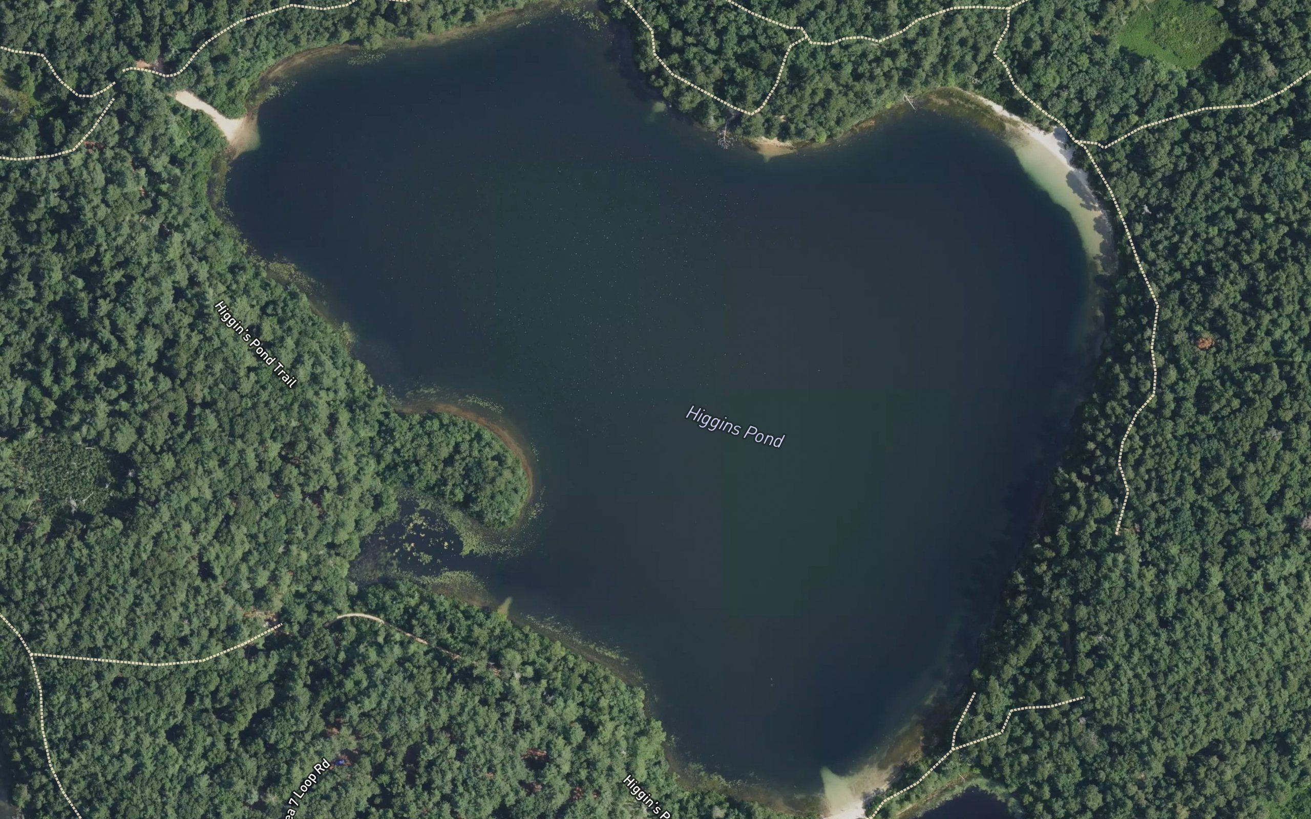 Higgins Pond