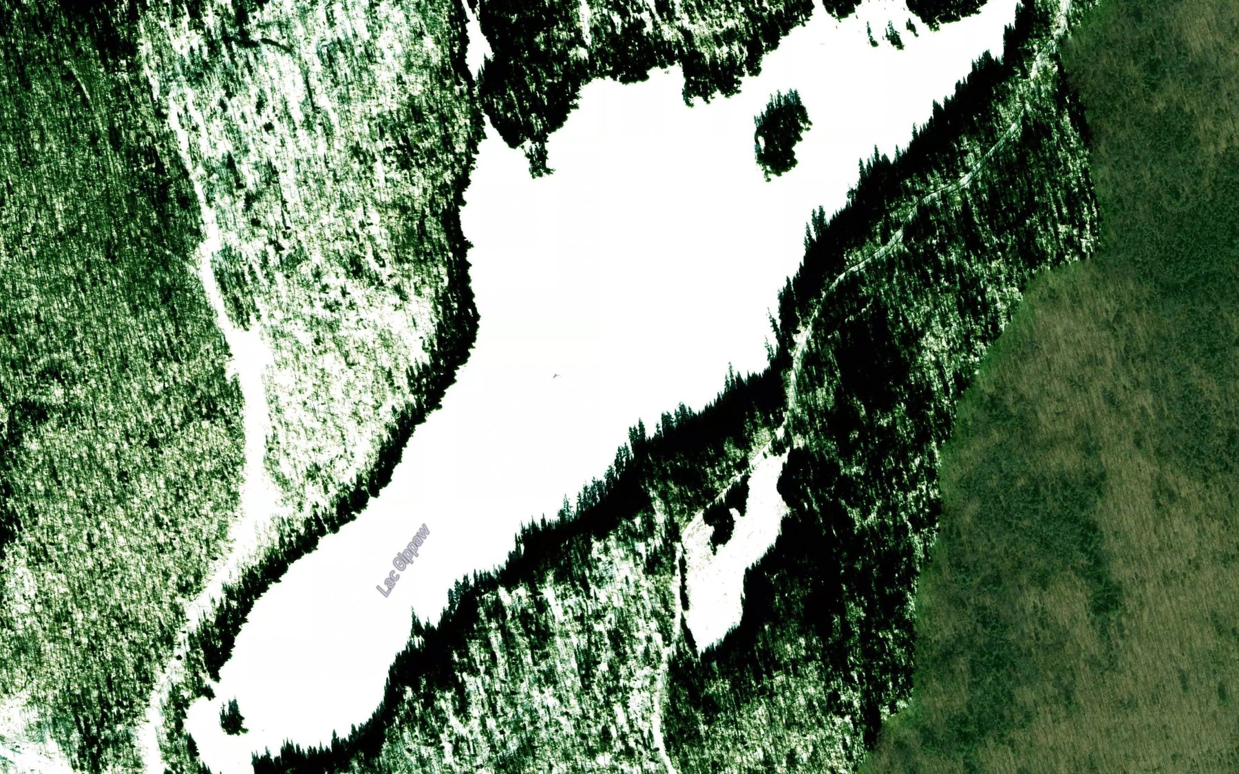 Satellite map of the Lac Gippaw