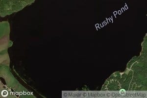 Rushy Pond
