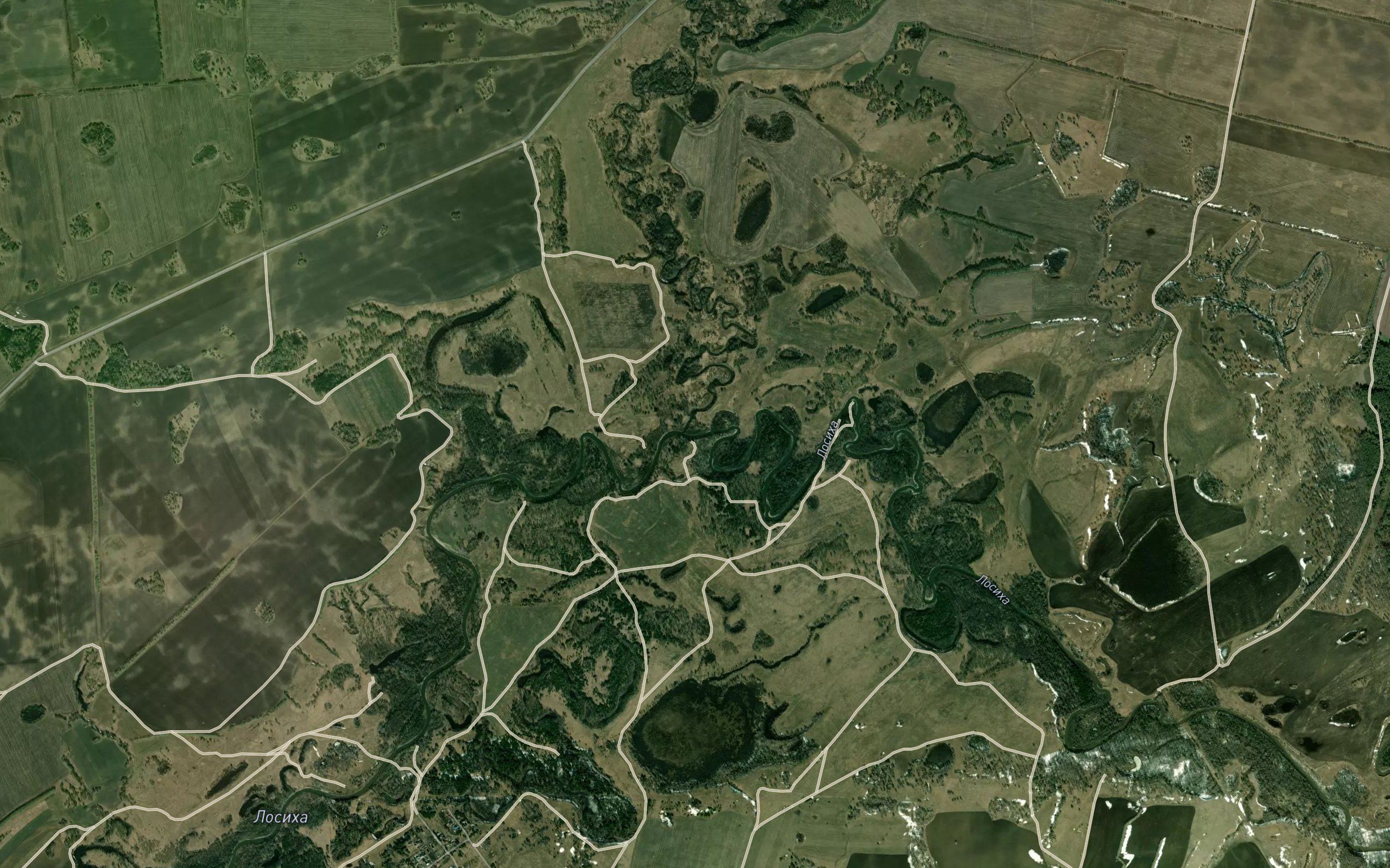 Zhilikha