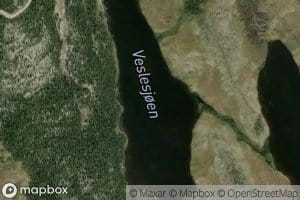 Veslesjoen