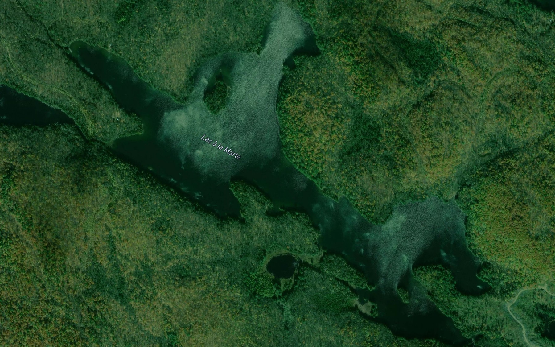 Satellite map of the Lac a la Marte