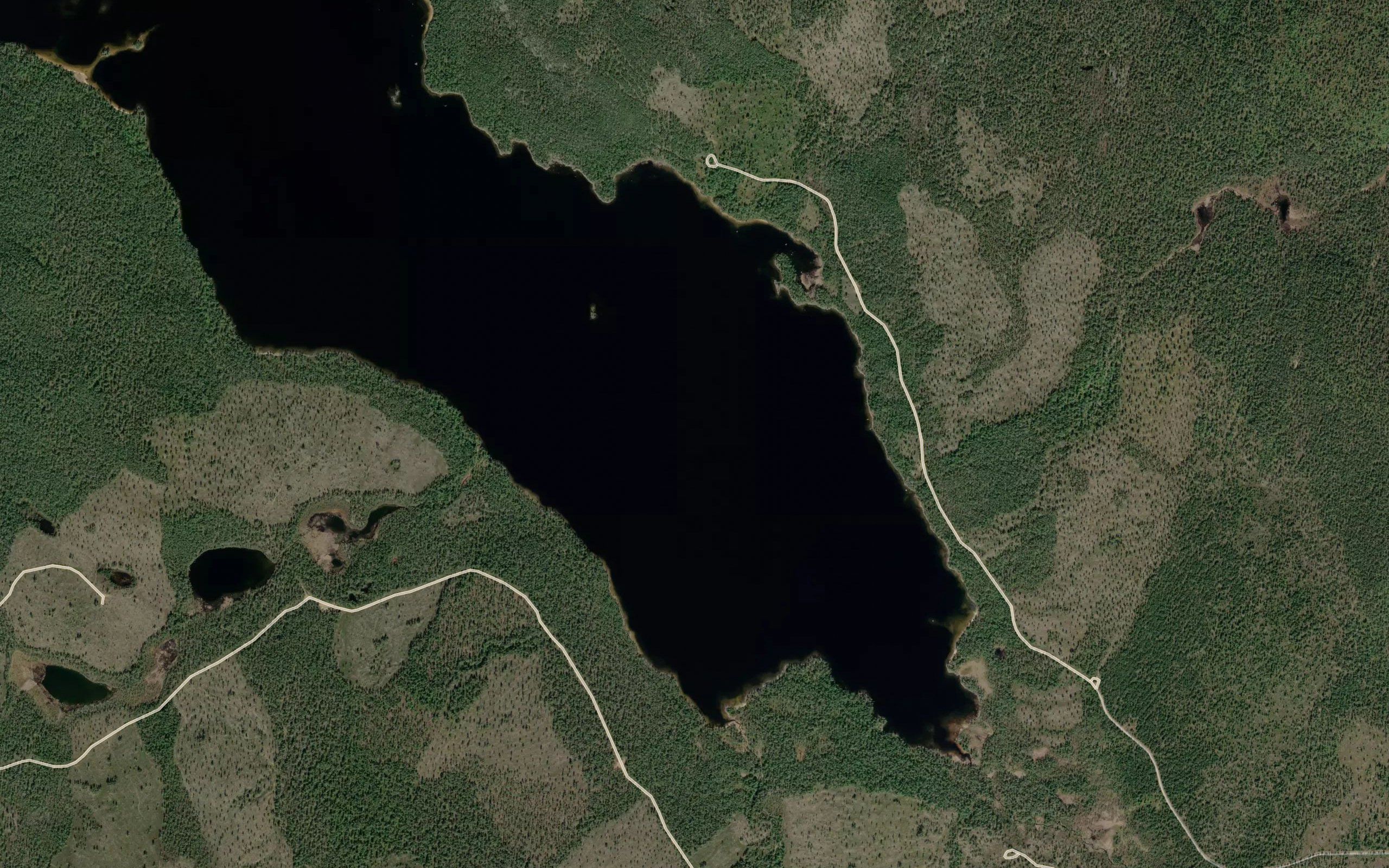 Kuosnavuono