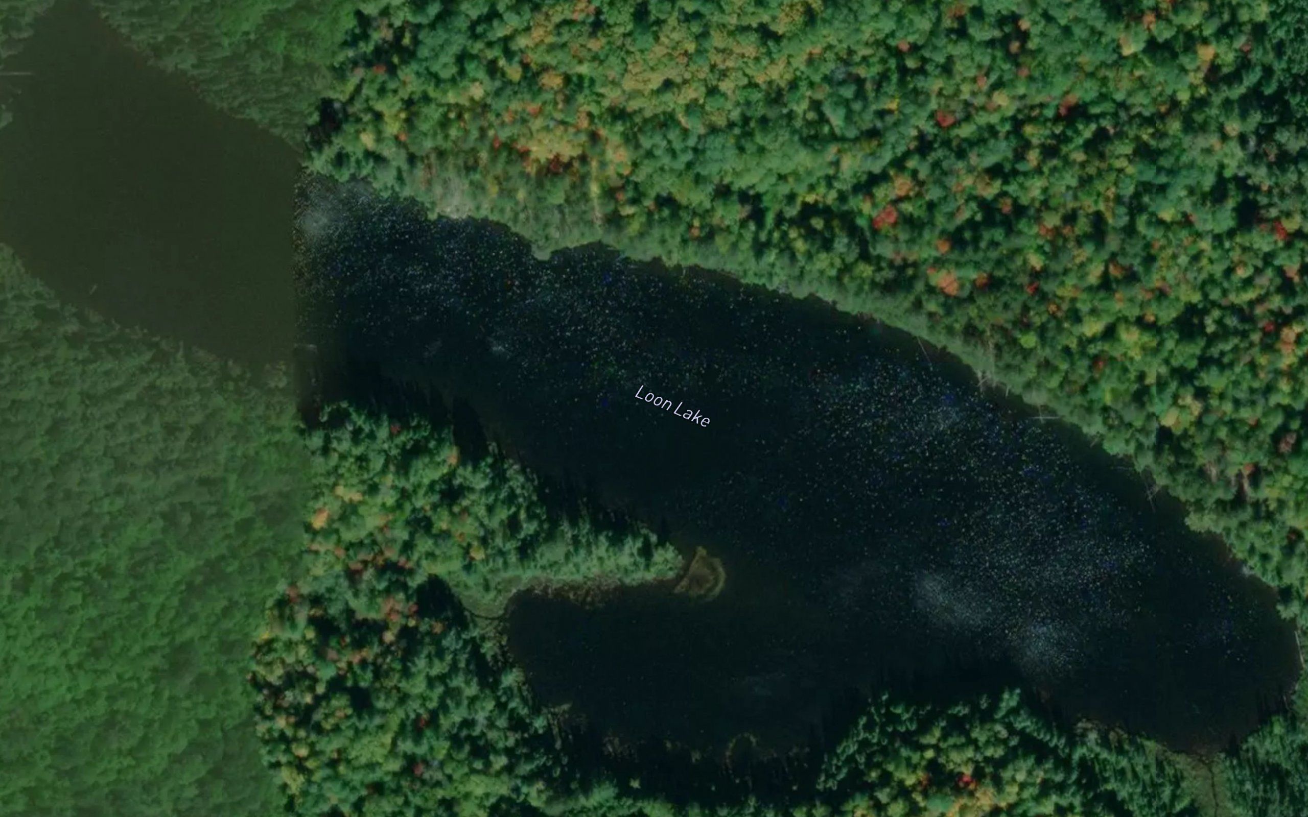 Loon Lake