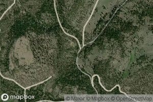 Alder Creek