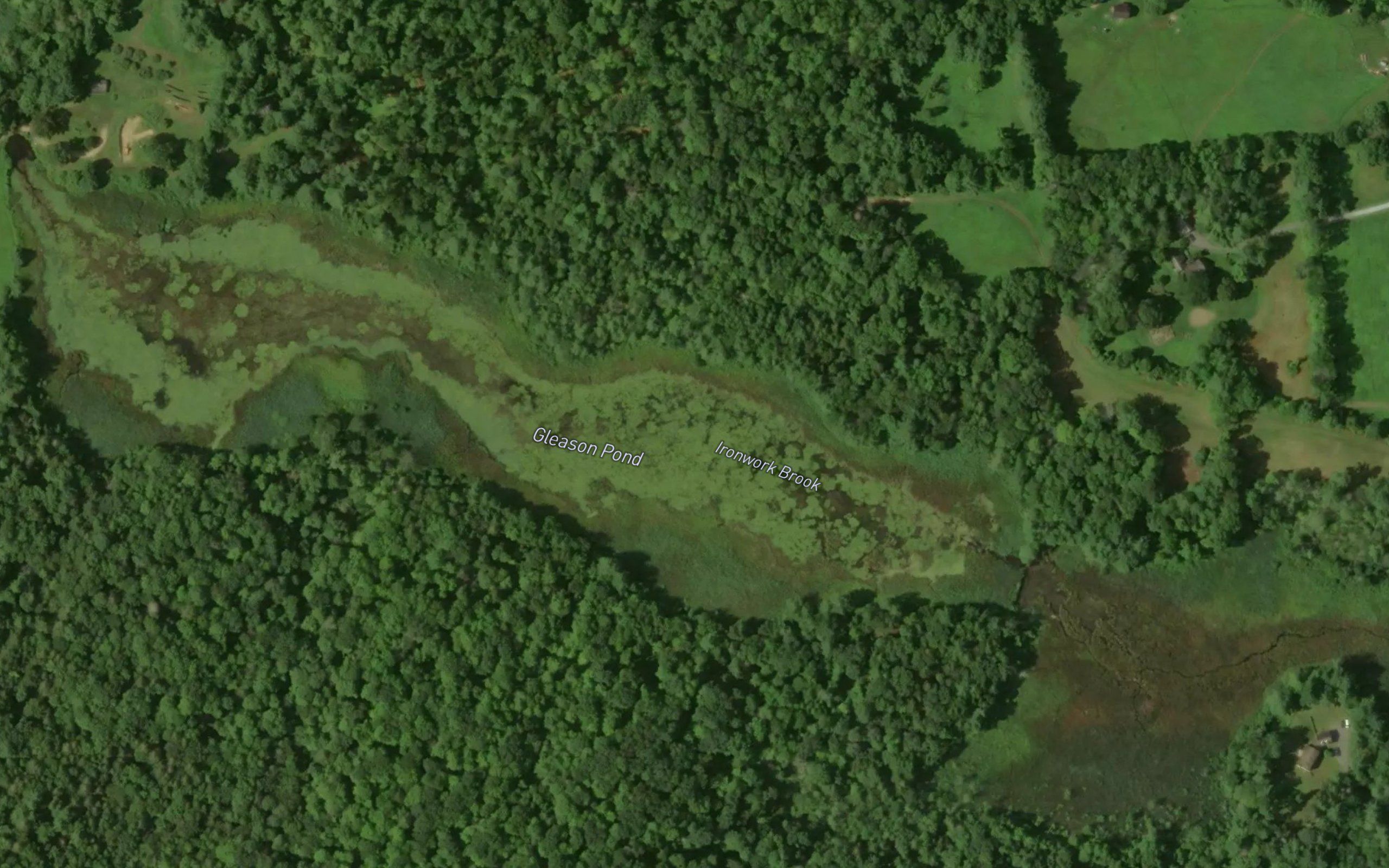 Gleason Pond