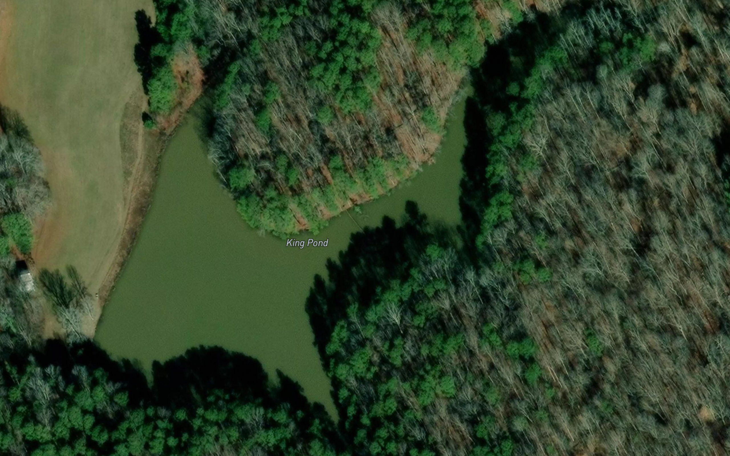 King Pond