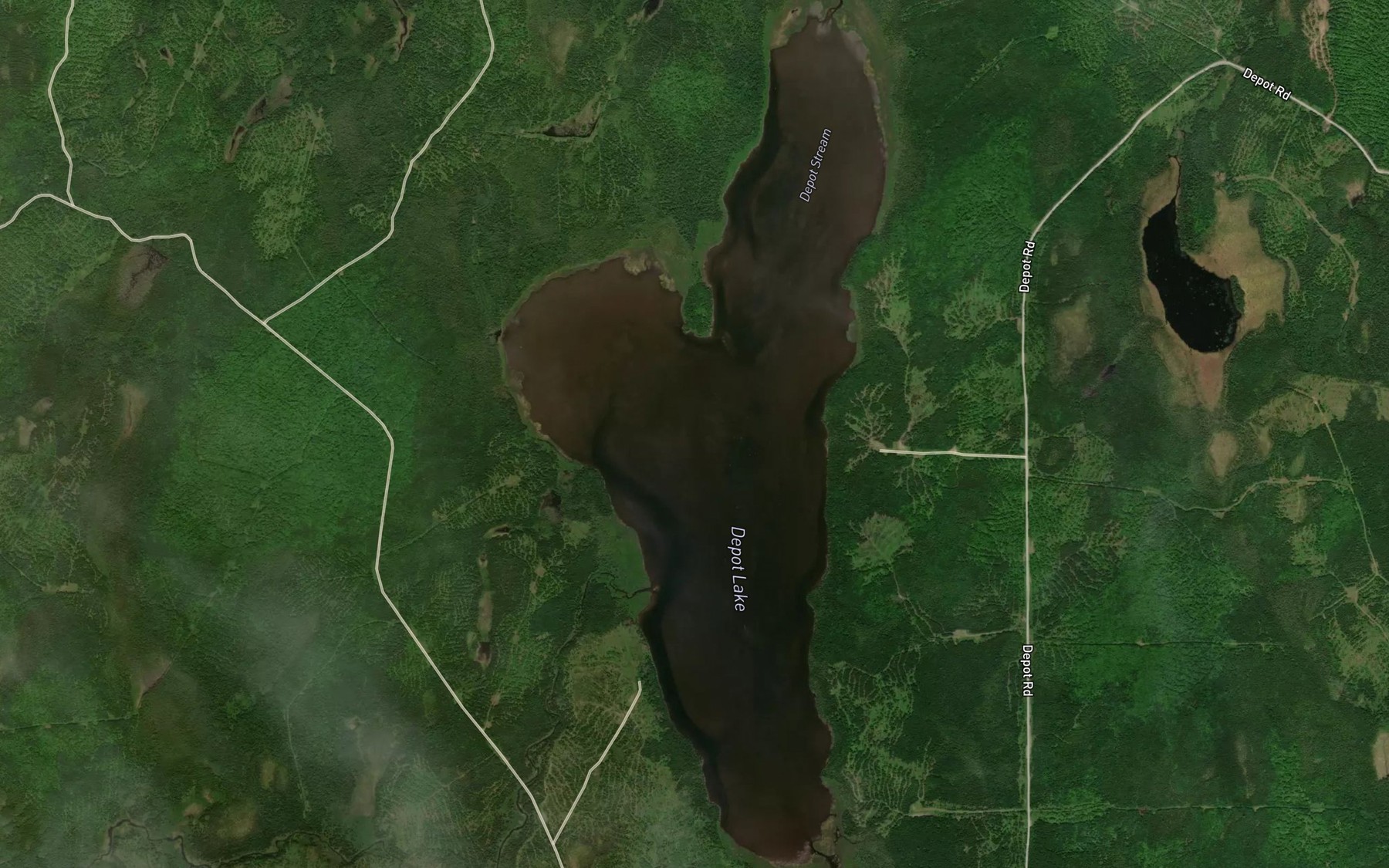 Satellite map of the Depot Lake
