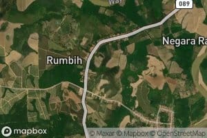 Bawang Jembatan Tanuh