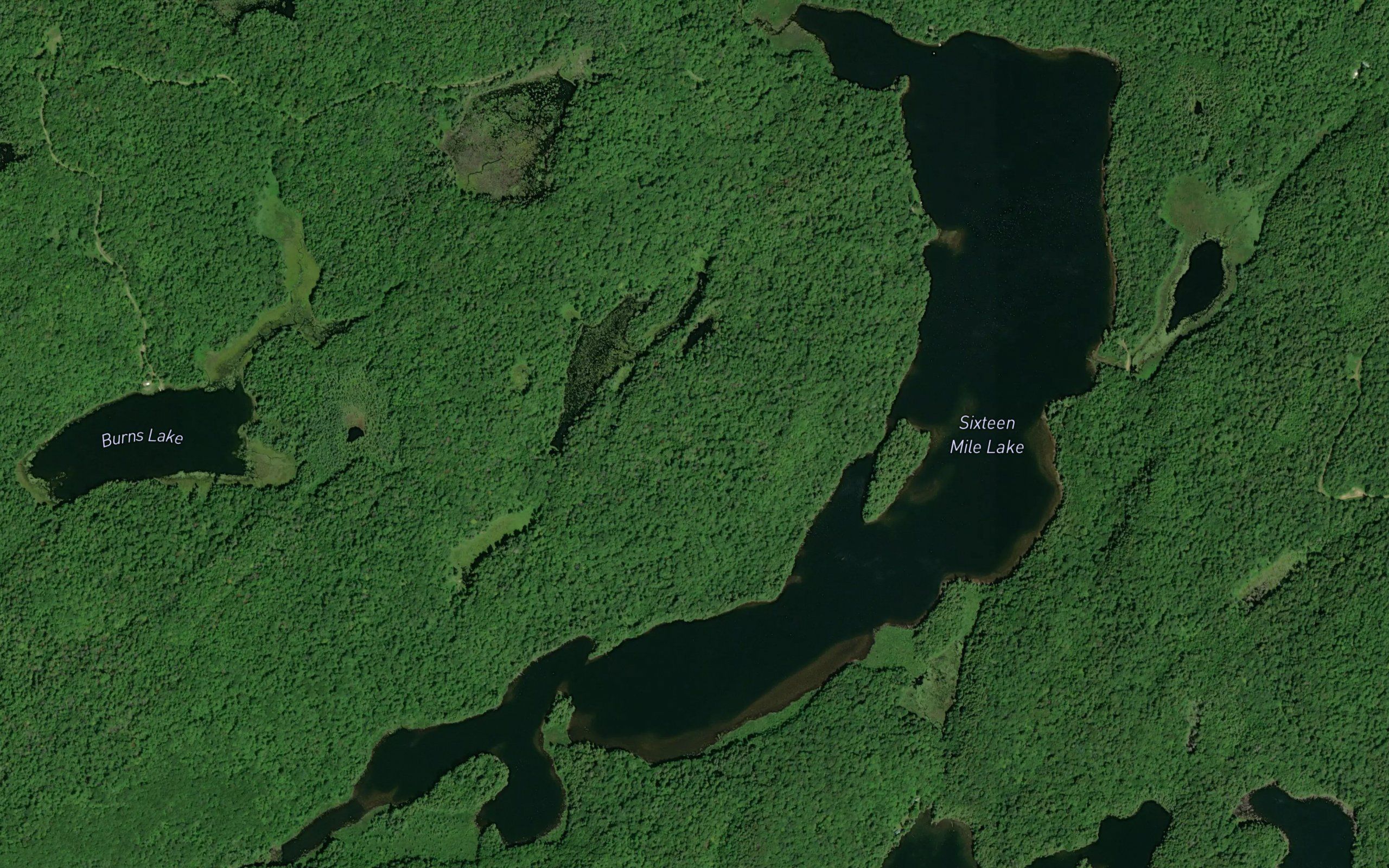 Sixteen Mile Lake