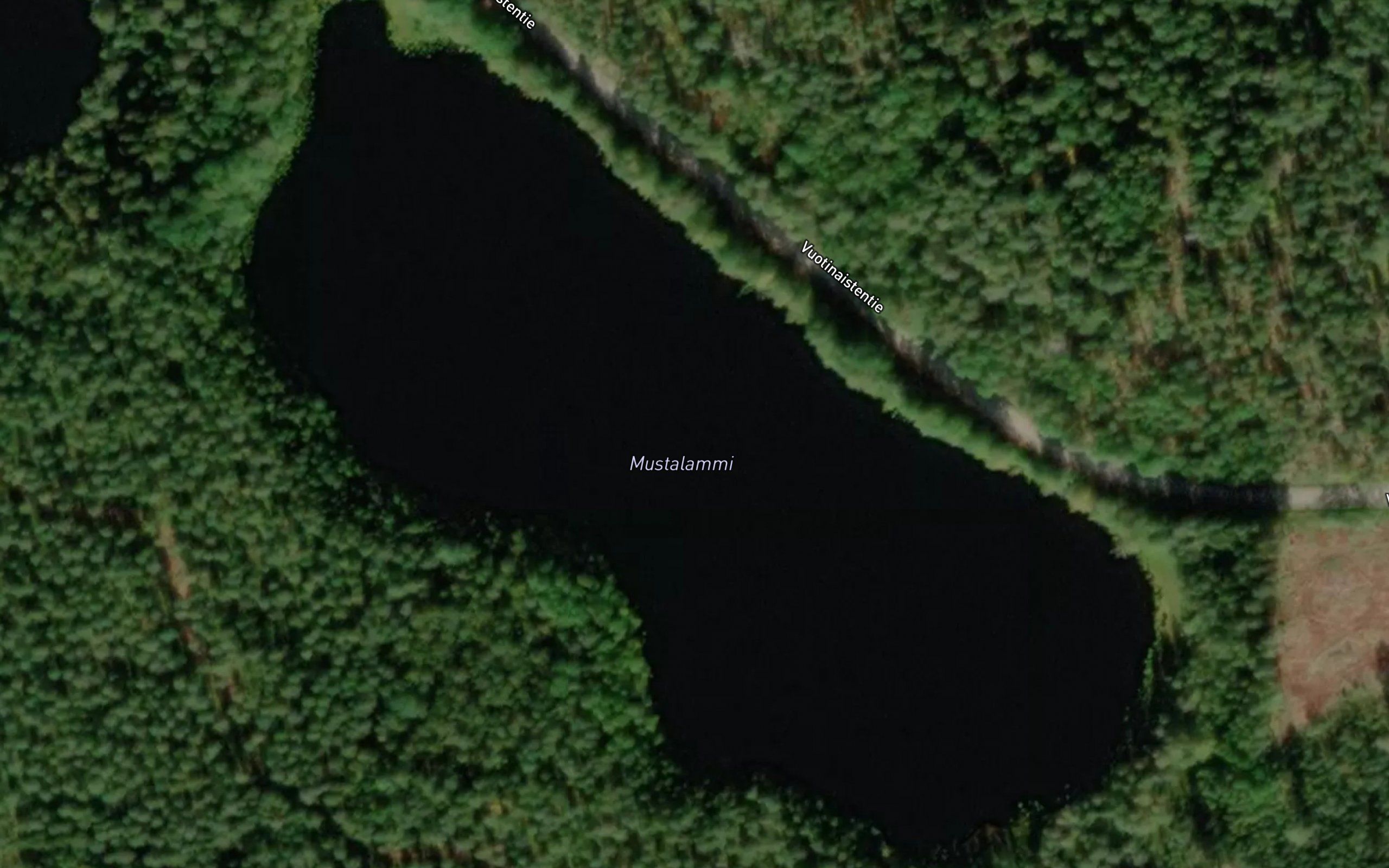Mustalammi
