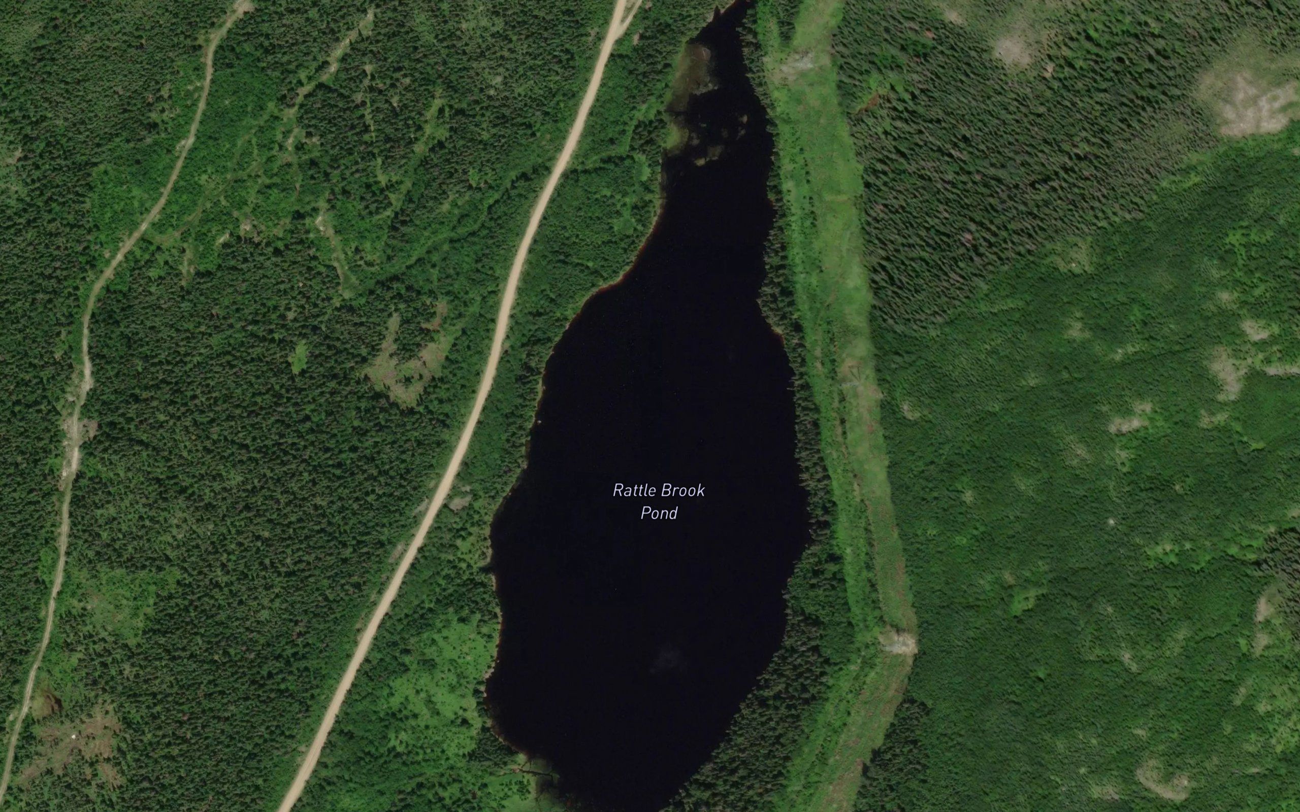Rattle Brook Pond