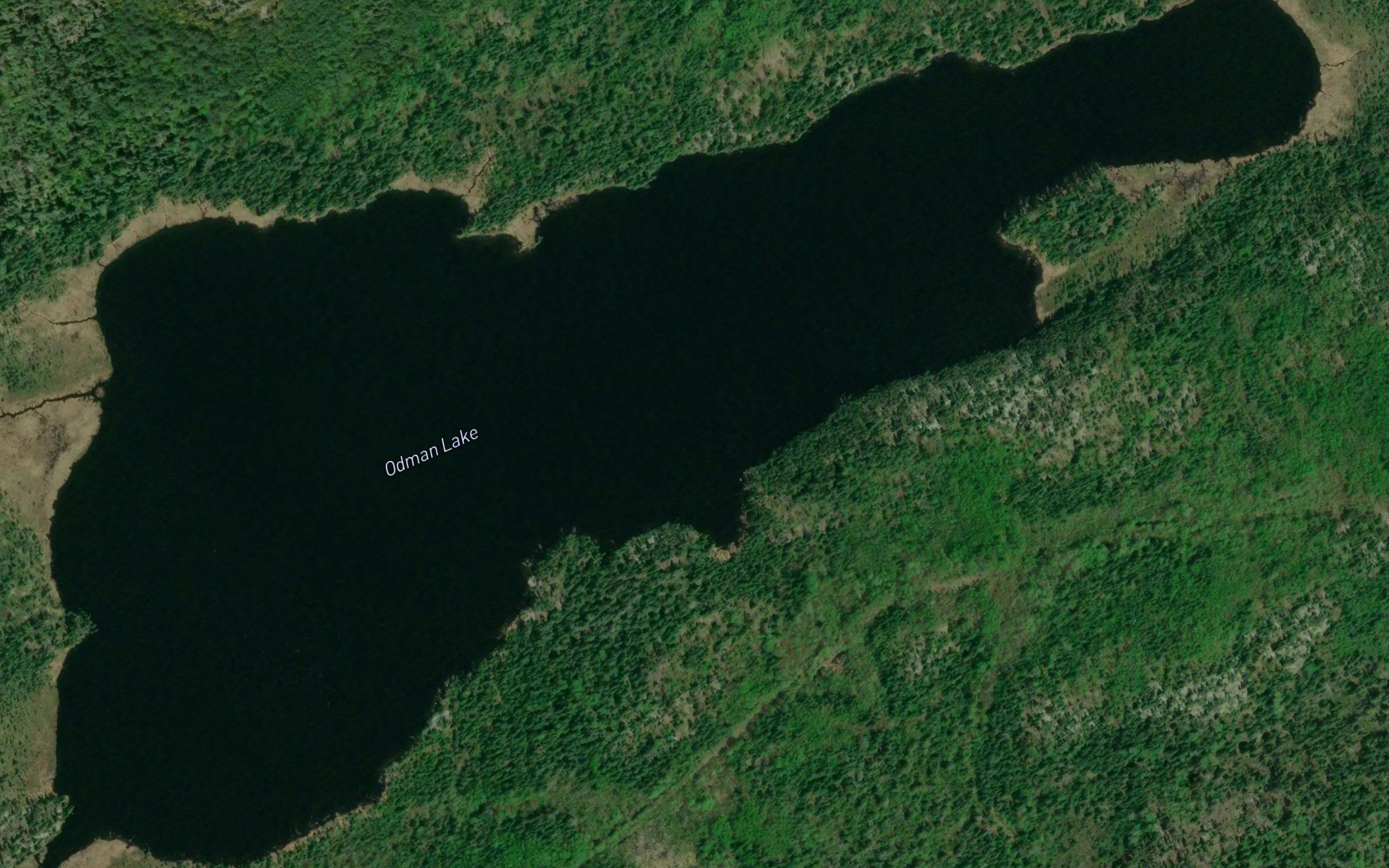 Odman Lake