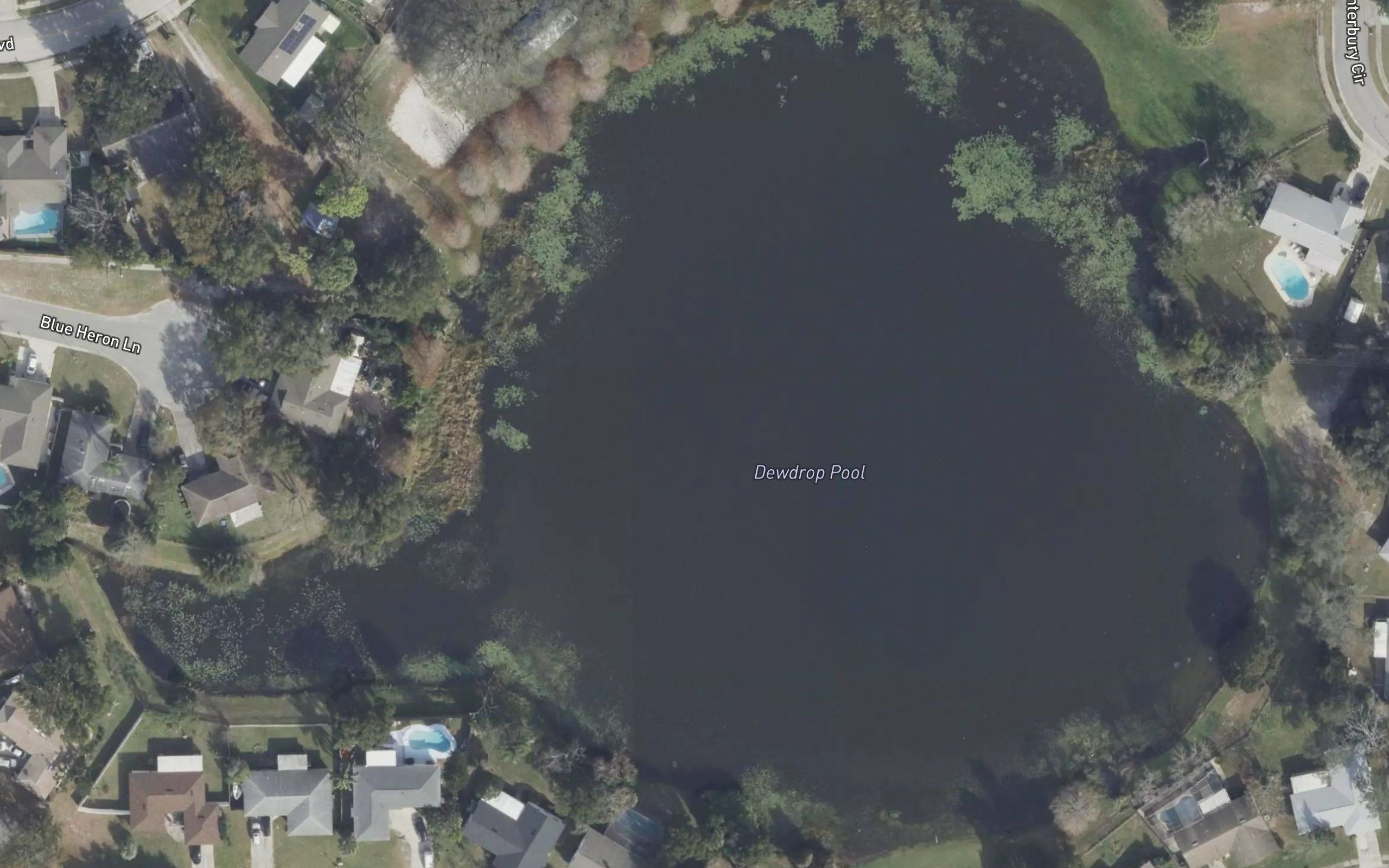 Dewdrop Pool