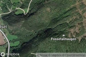 Fosselva