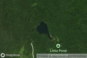 Little Pond