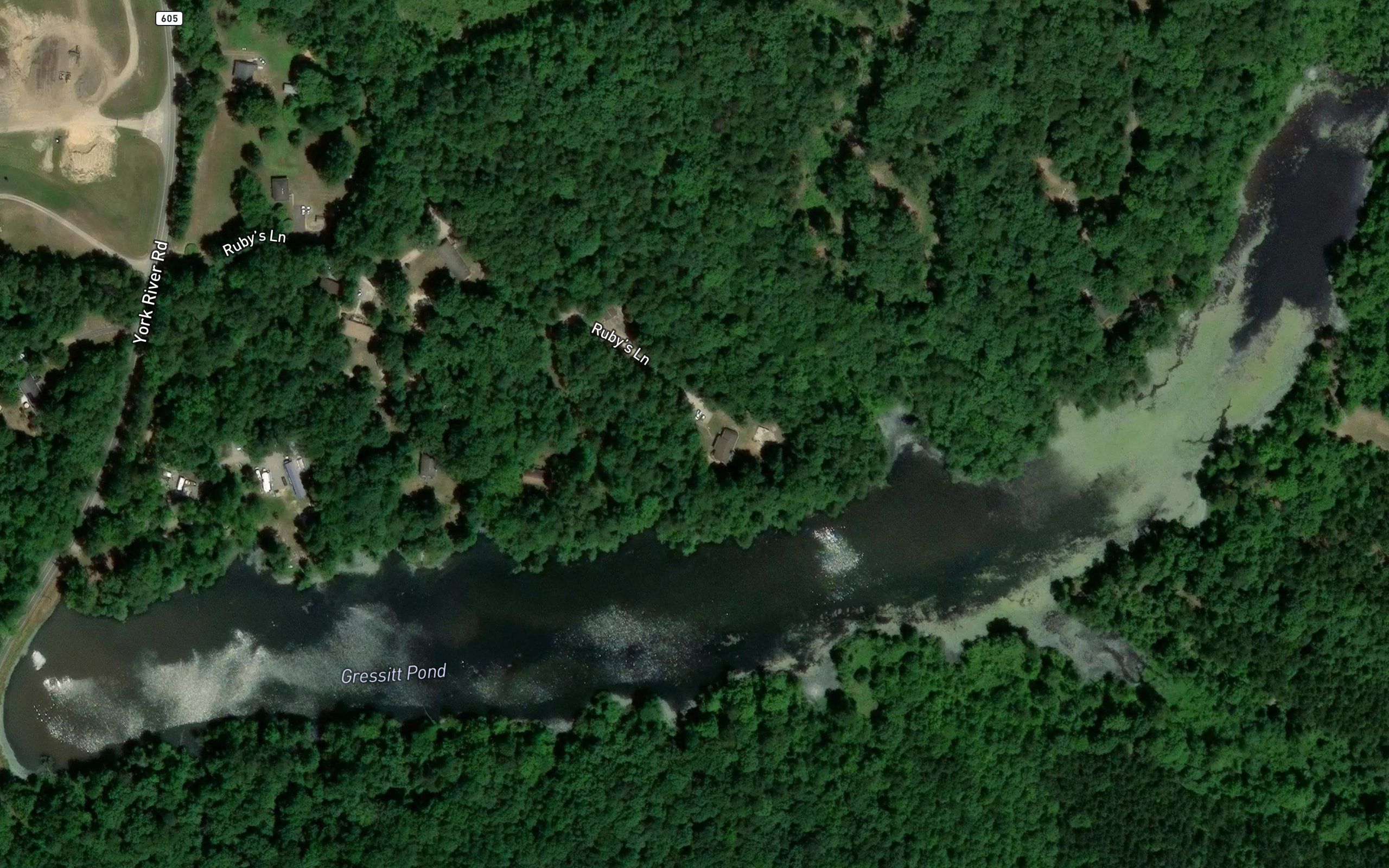 Gressitt Pond