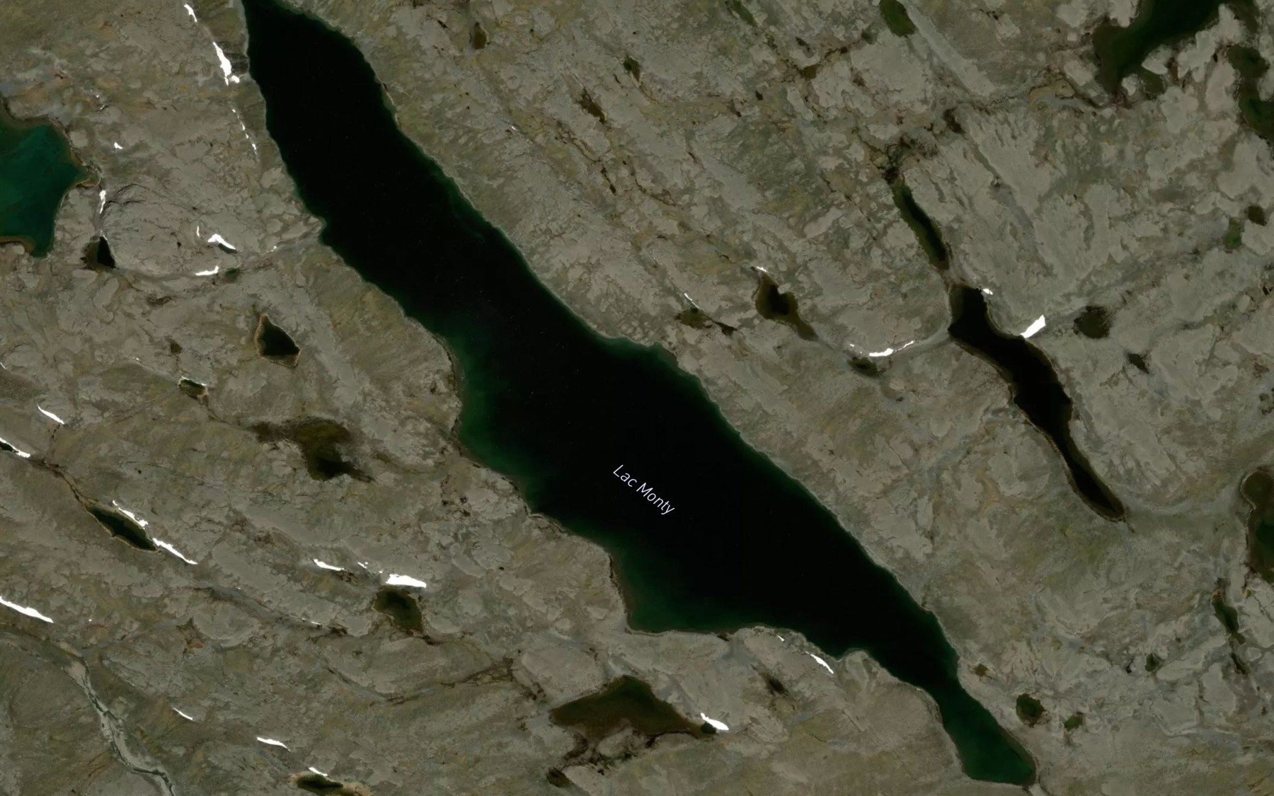 Satellite map of the Lac Monty