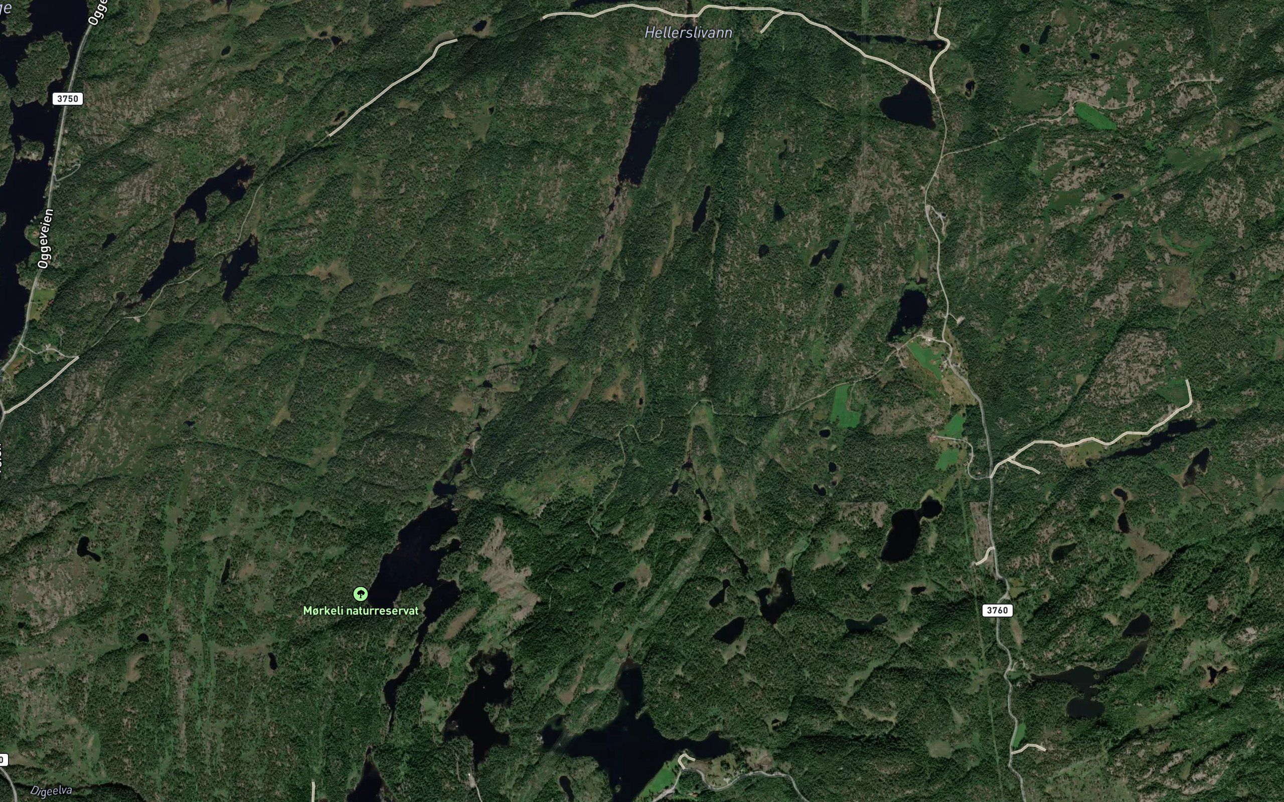Ormetjonn
