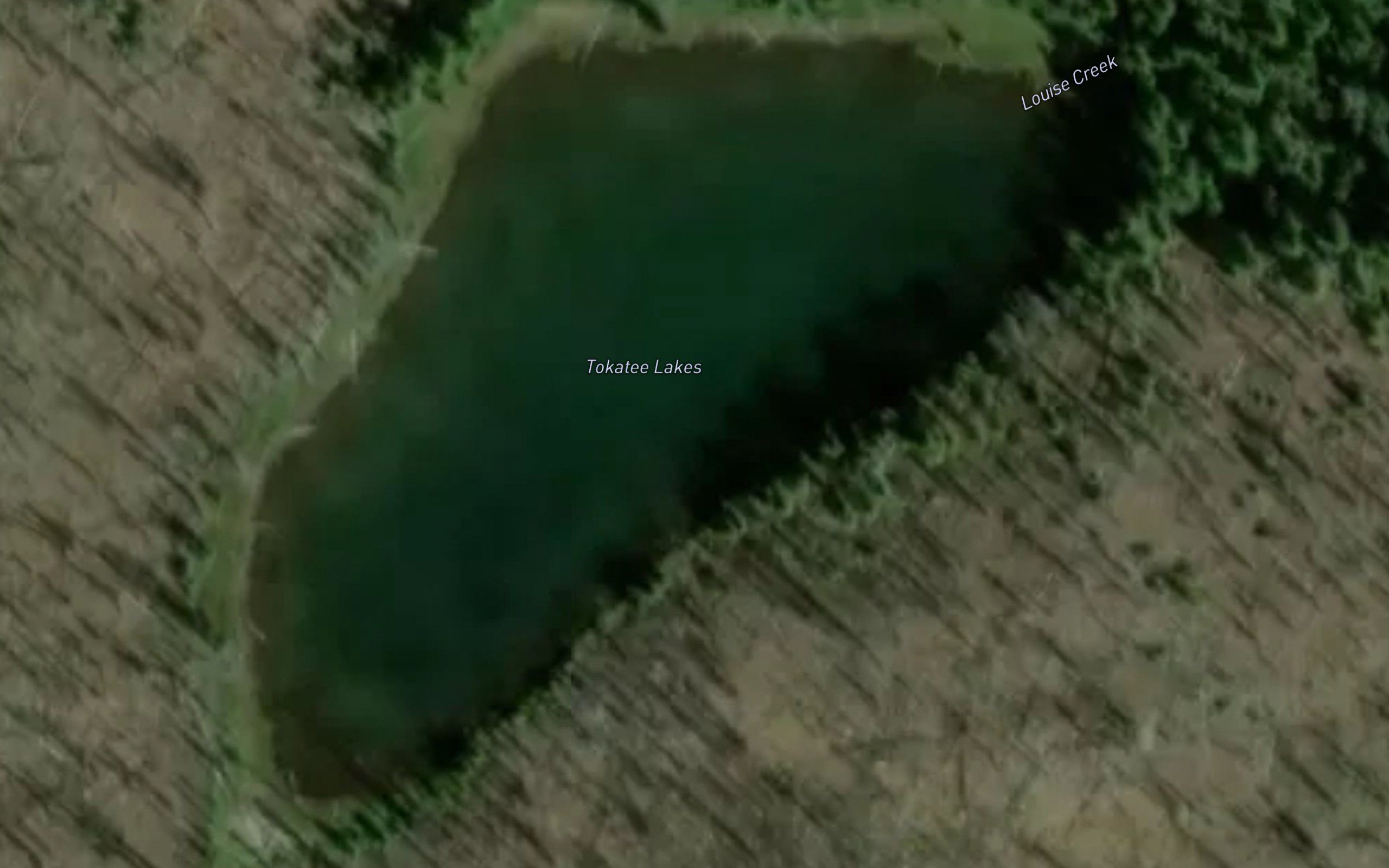 Tokatee Lakes