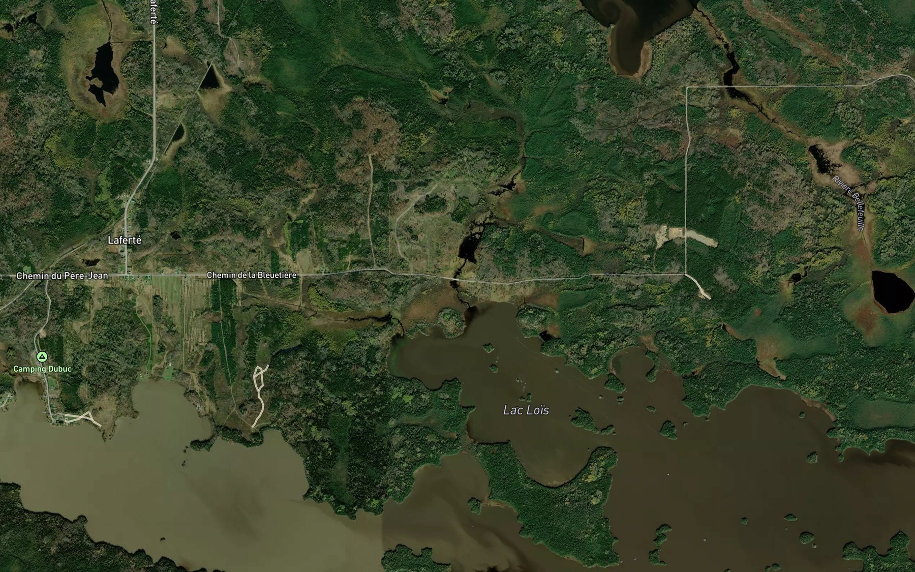Satellite map of the Branche Dassylva