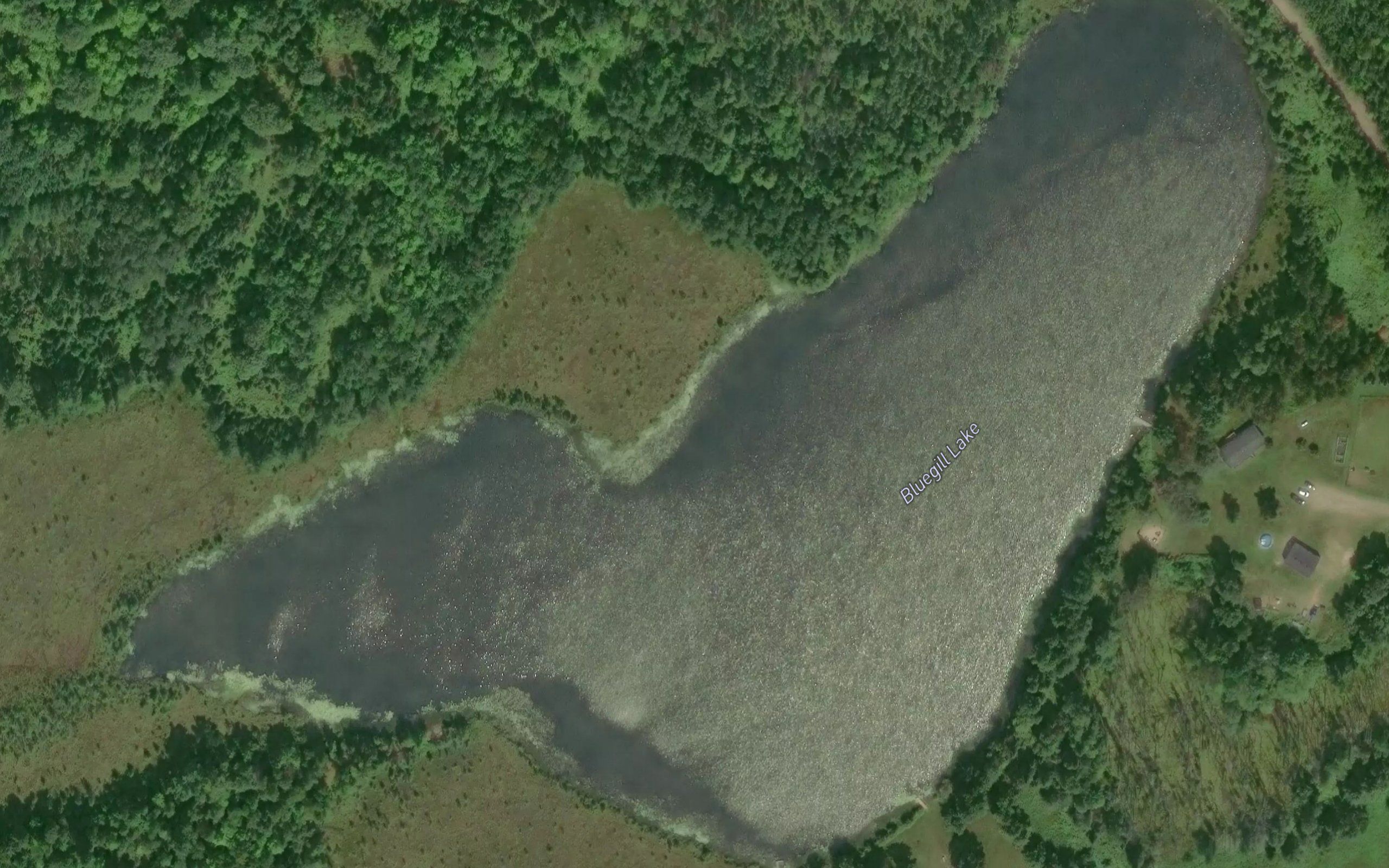 Bluegill Lake