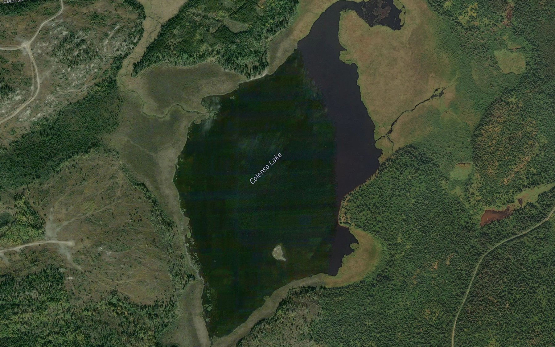 Satellite map of the Colenso Lake