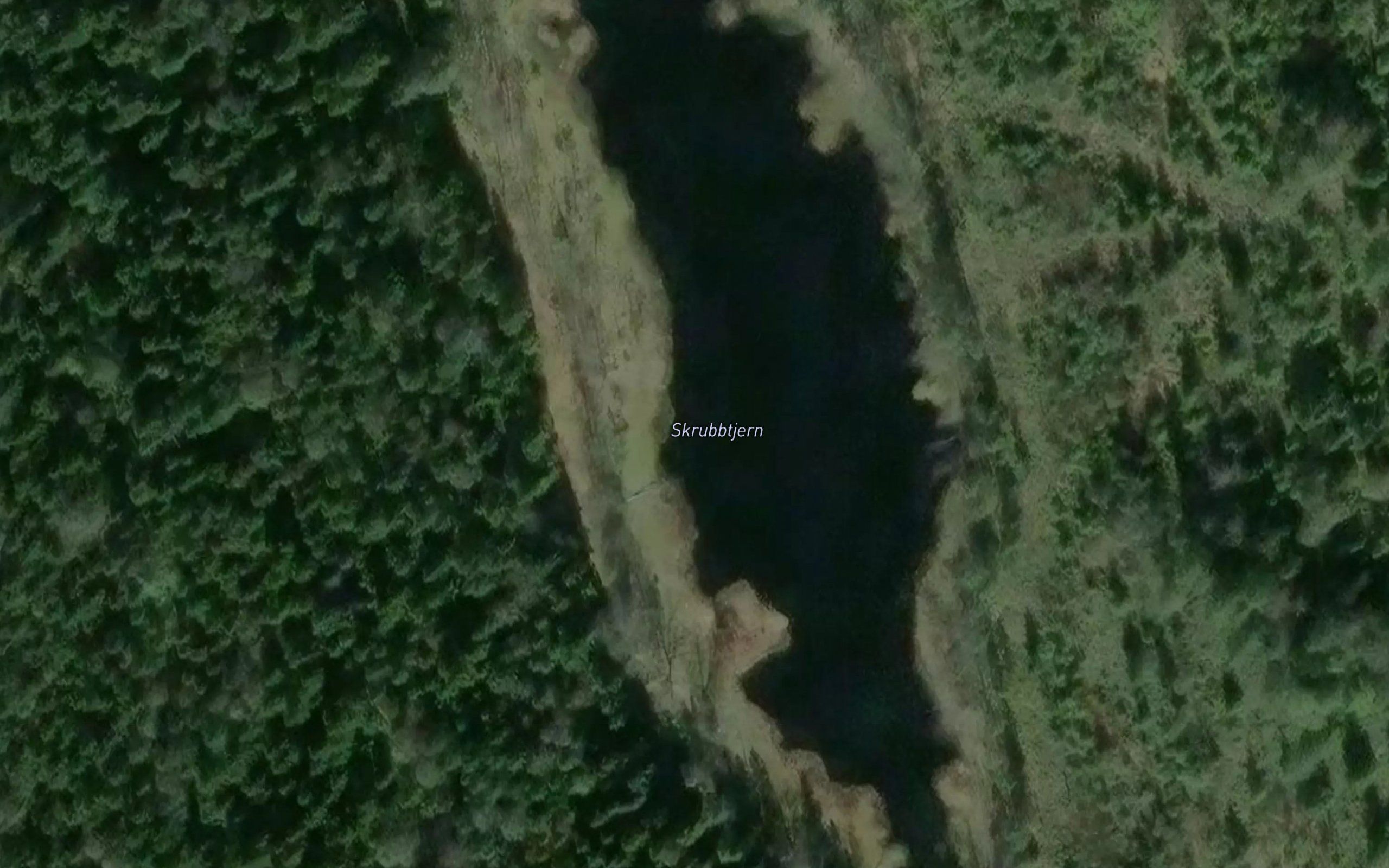 Skrubbtjern