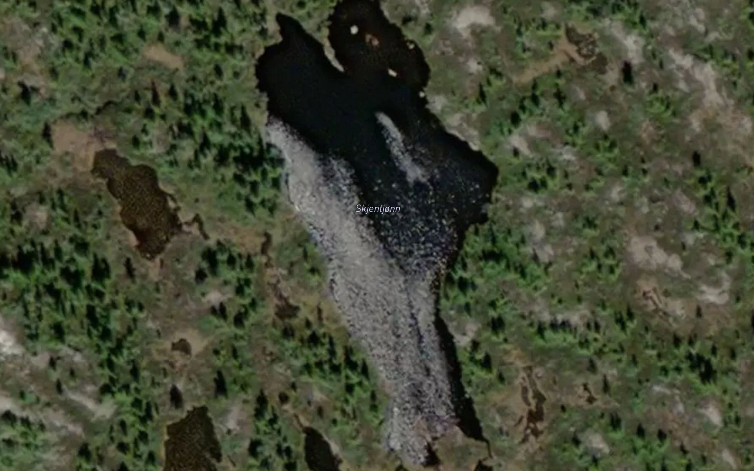 Skjentjonn