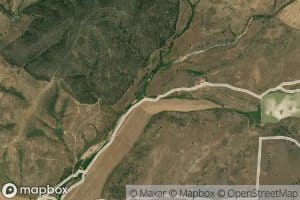 Ribeiro da Ardevelona