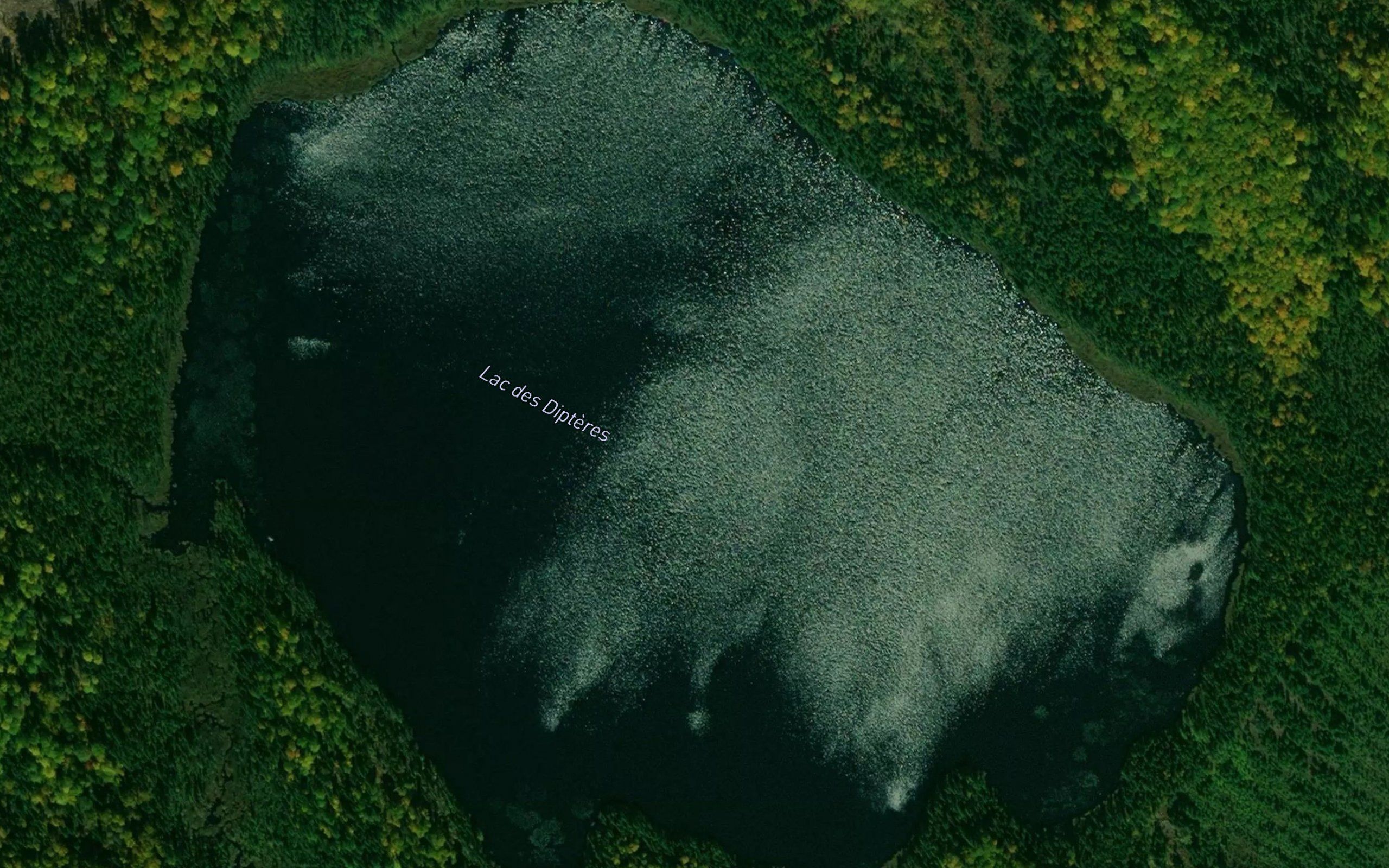 Lac des Dipteres