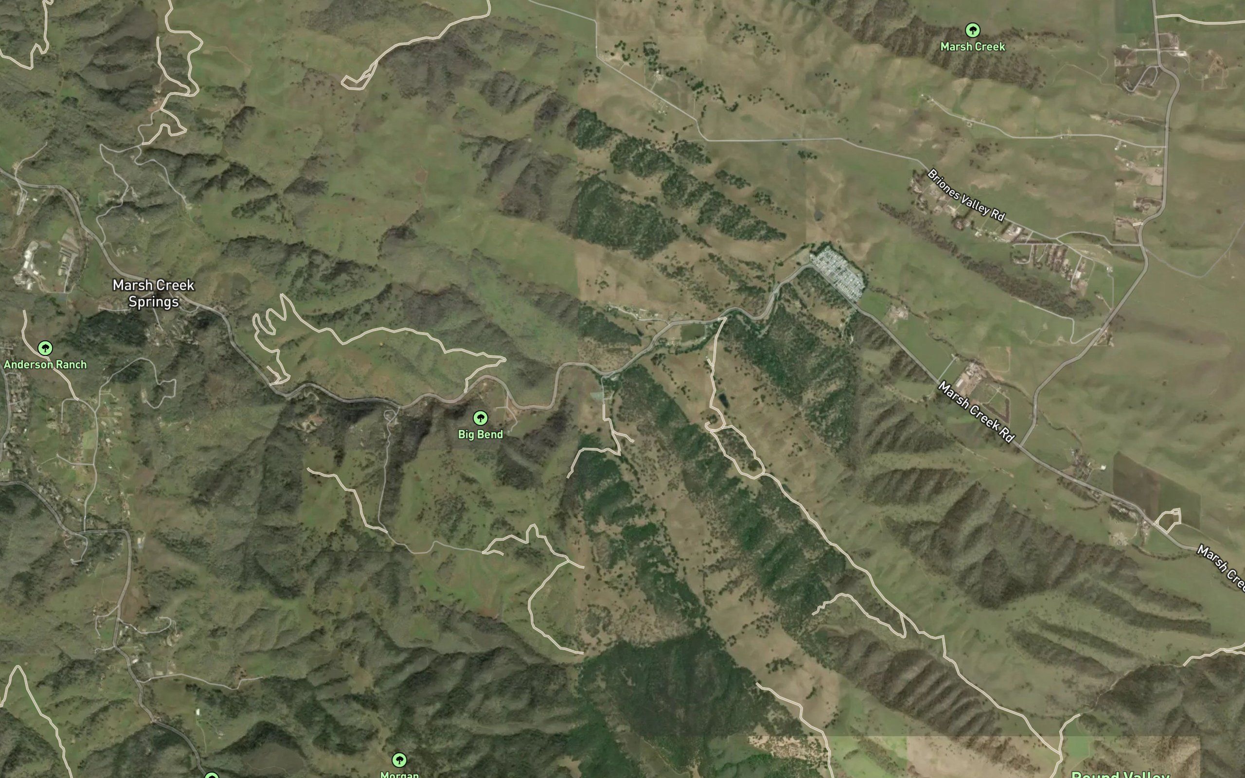 Sycamore Creek