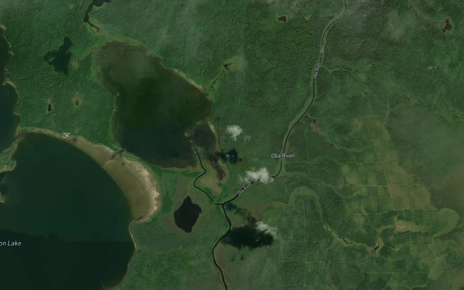 Satellite map of the Cameron Creek