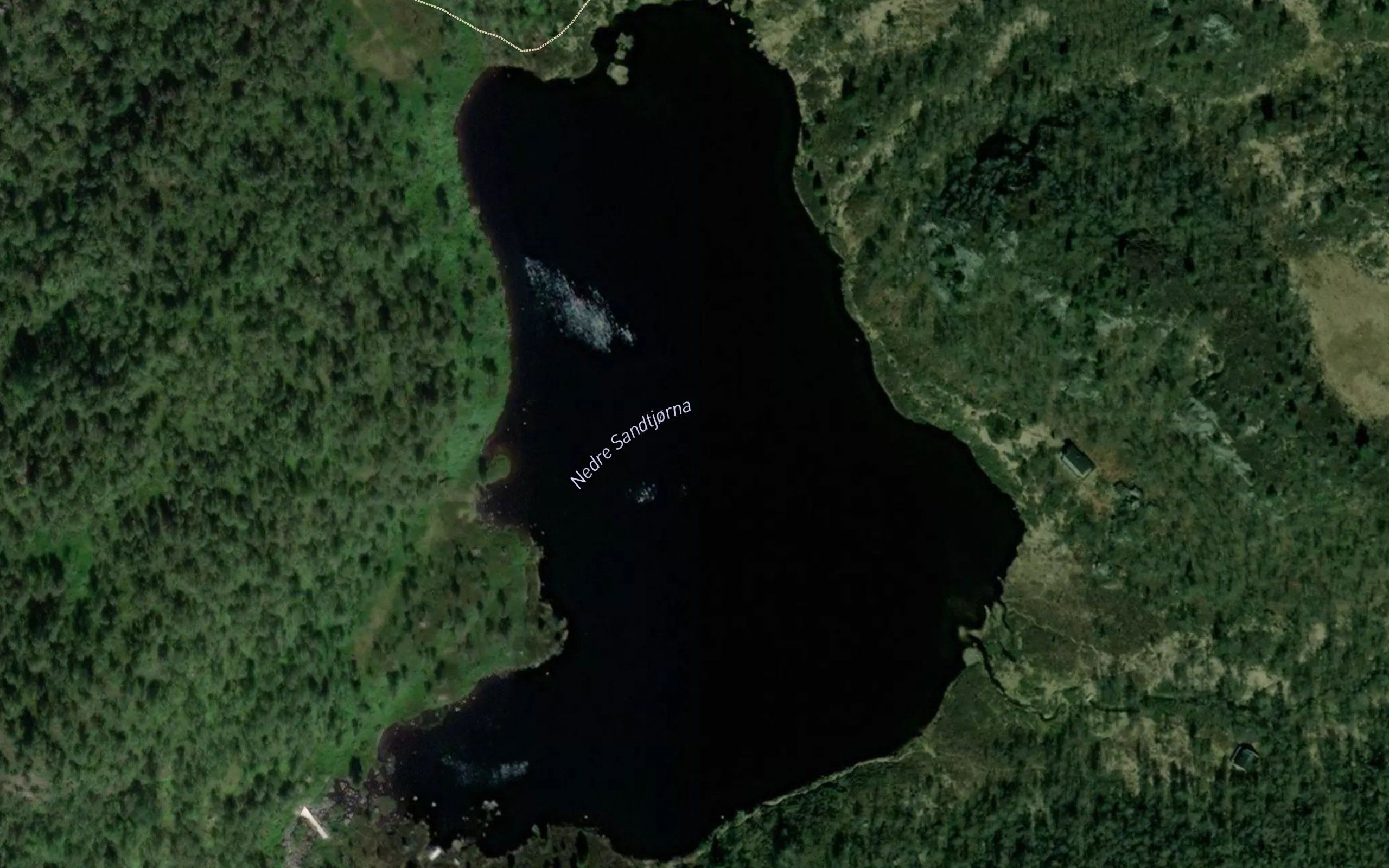 Sandtjorn,store