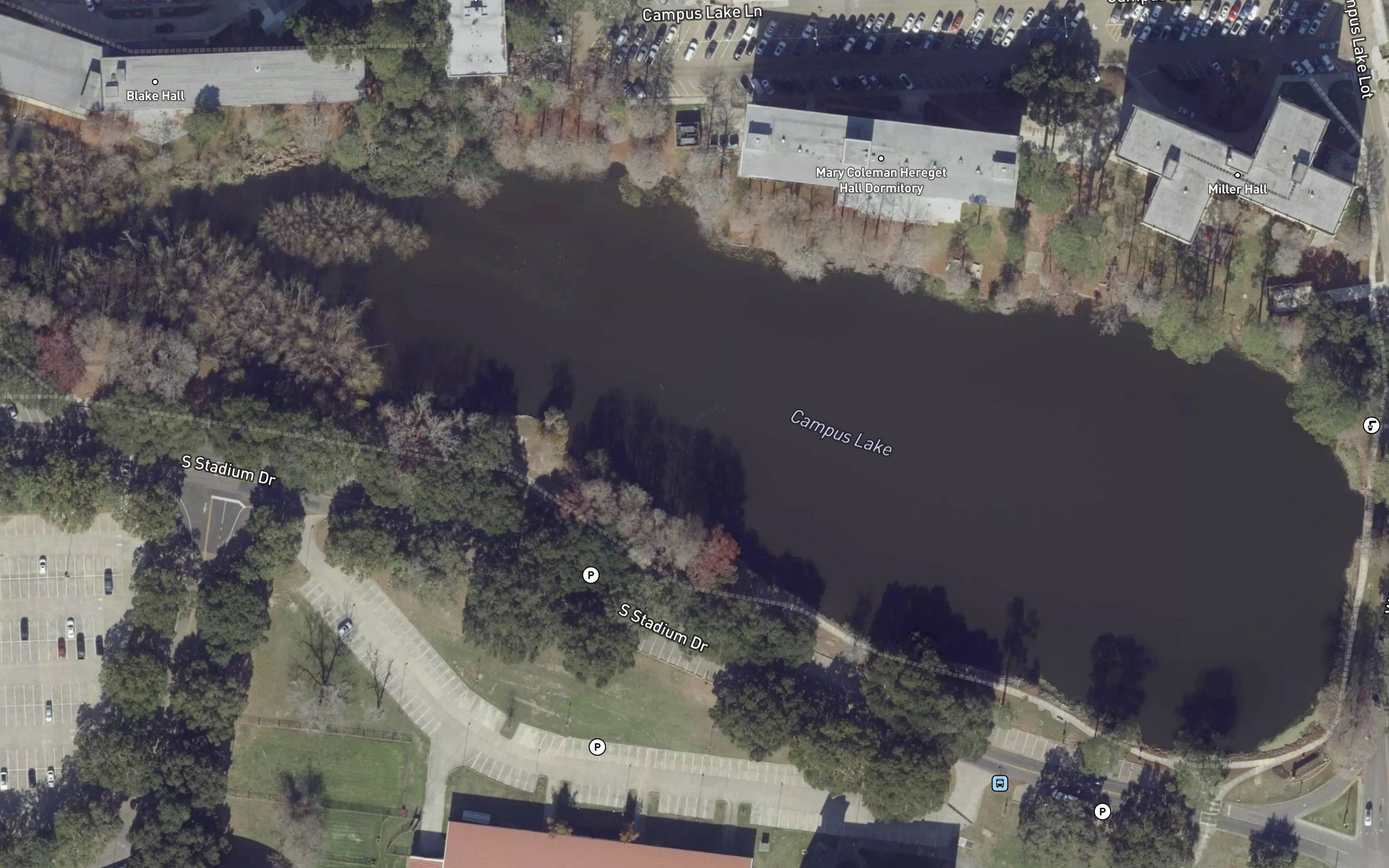 Campus Lake