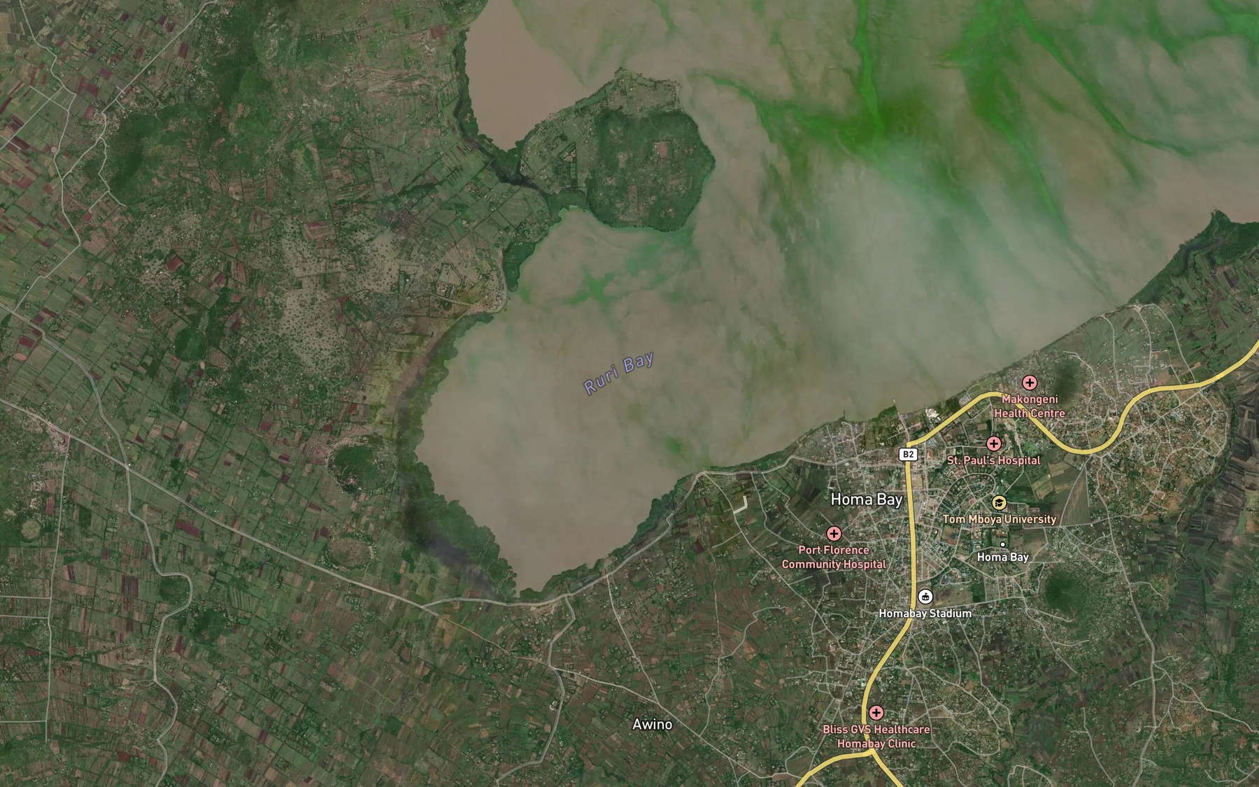 Satellite map of the Ruri Bay