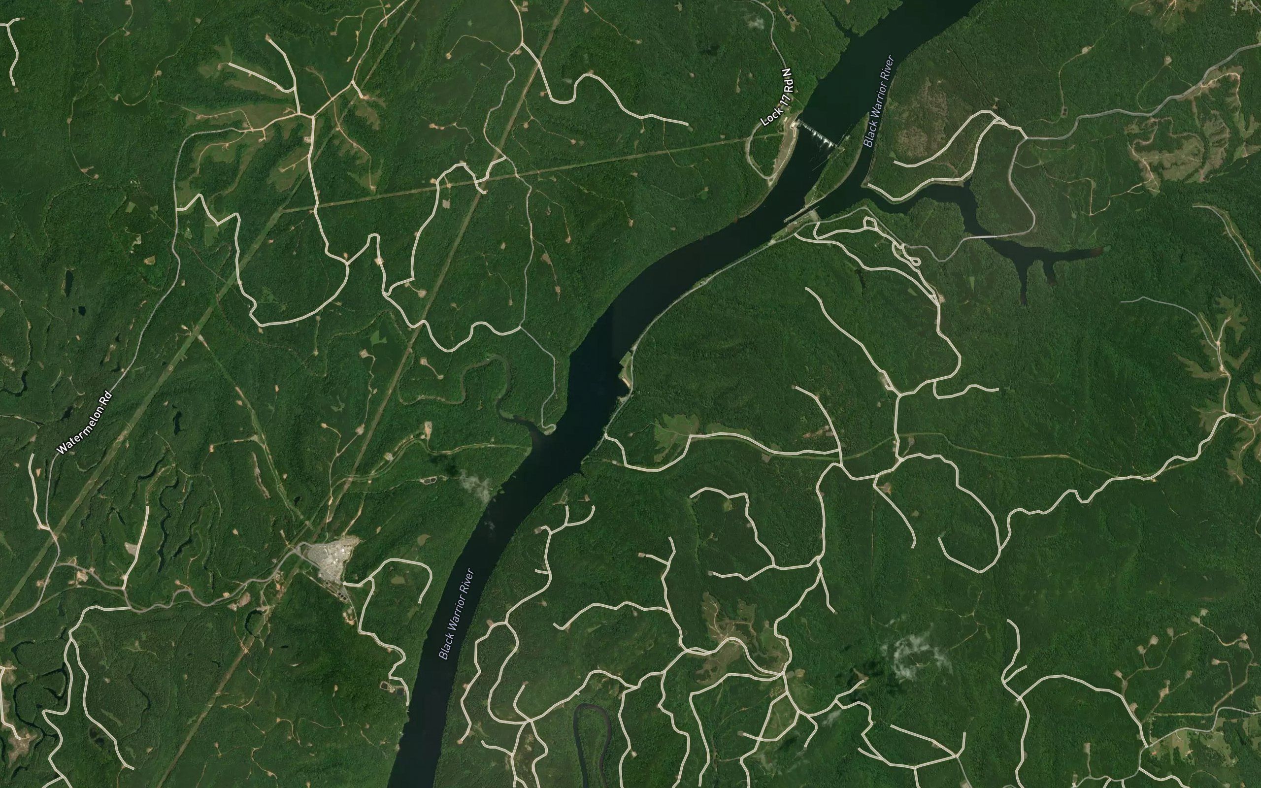 Burchfield Branch