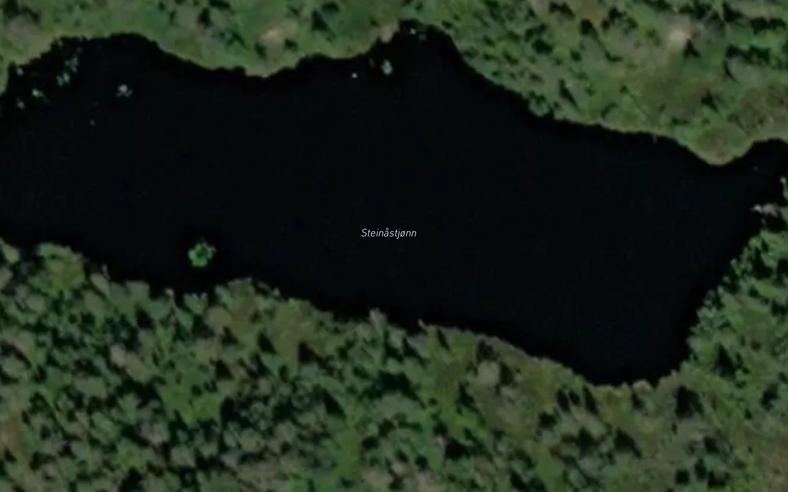 Steinastjonn