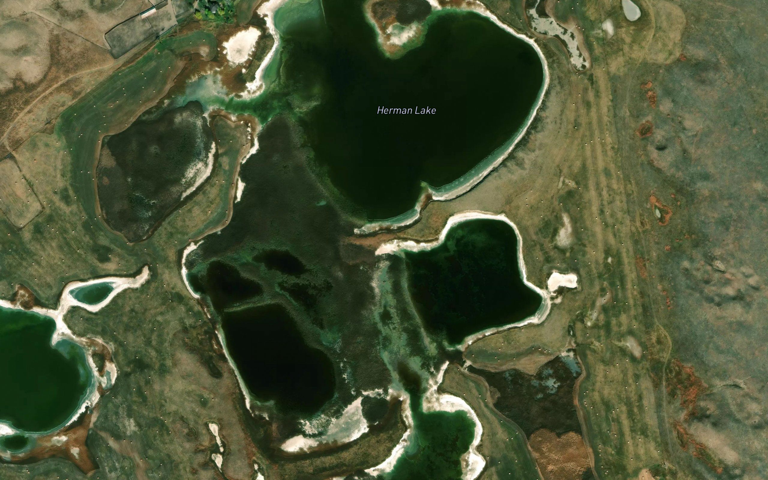 Herman Lake