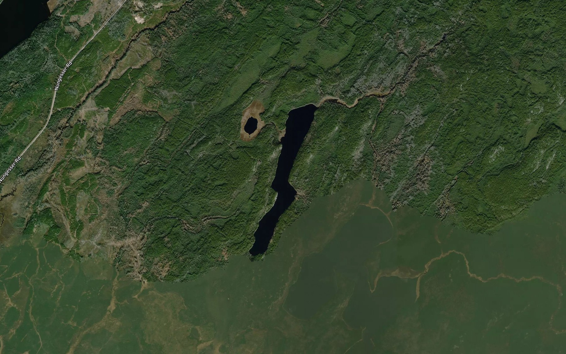 Satellite map of the Shaver Lake